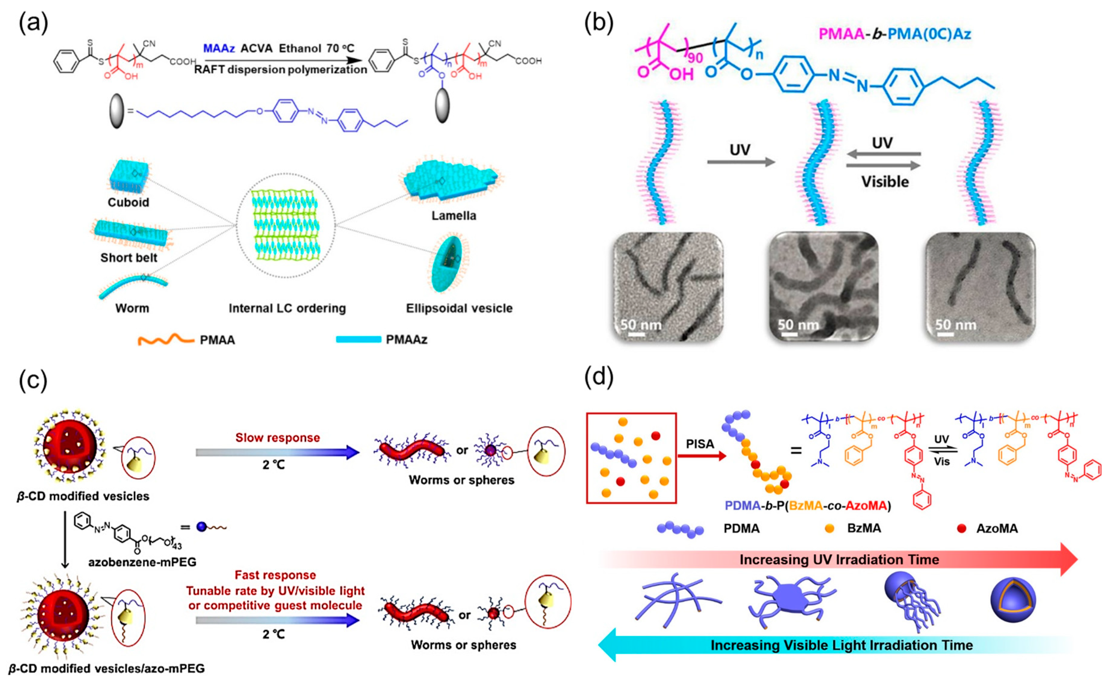 Crystallization and self-assembly of shape-complementary sequence-defined  peptoids - Polymer Chemistry (RSC Publishing) DOI:10.1039/D1PY00426C