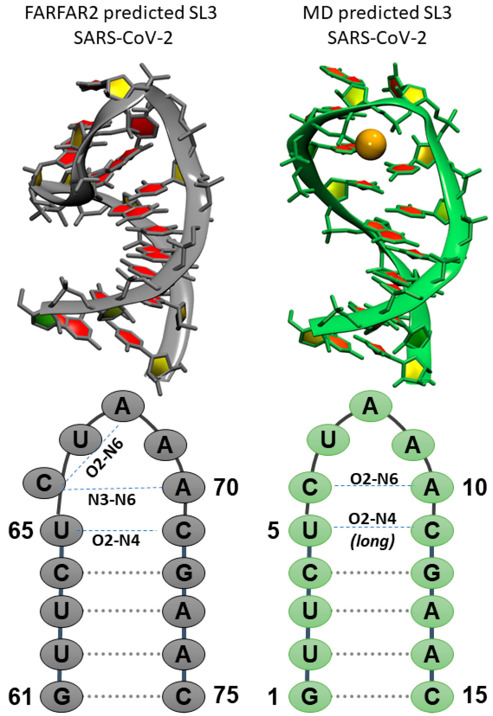 Ijms 21 06188 g003 Ijms 21 06188 g003