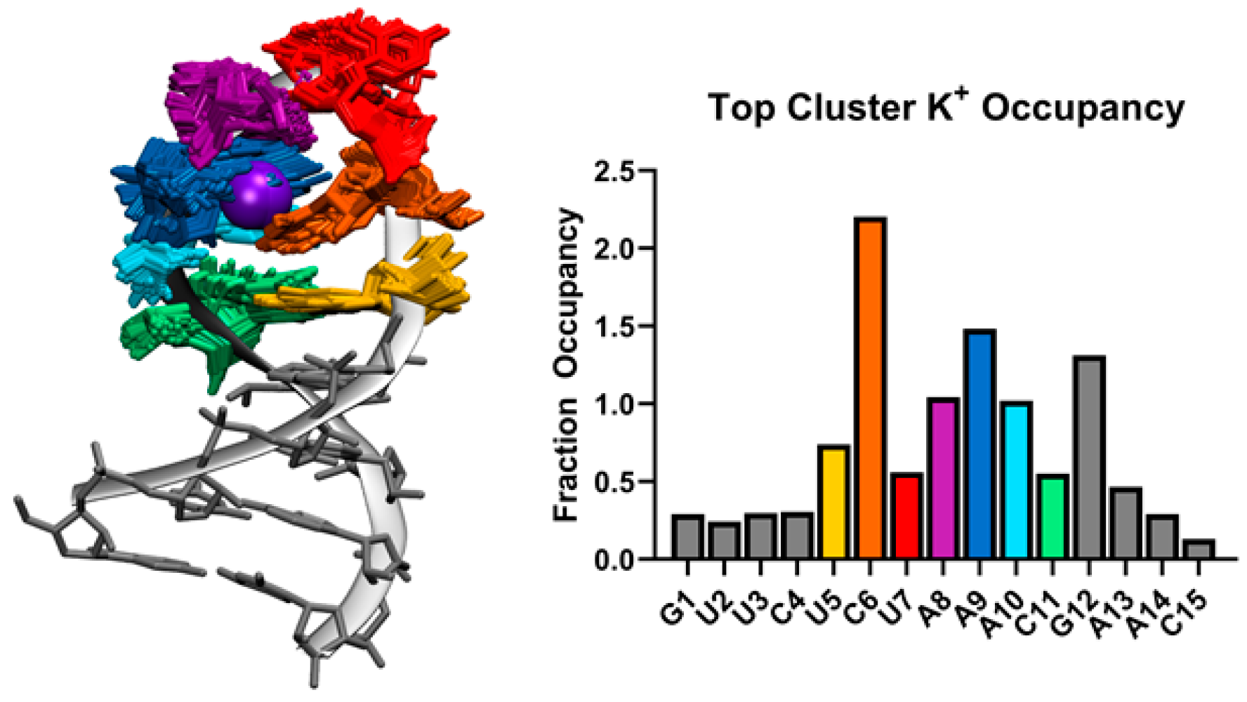 Ijms 21 06188 g004 Ijms 21 06188 g004