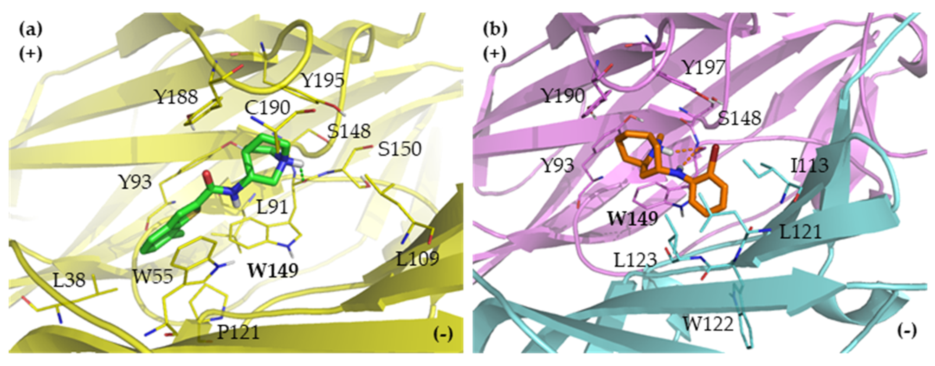 Ijms 21 06189 g003 Ijms 21 06189 g003