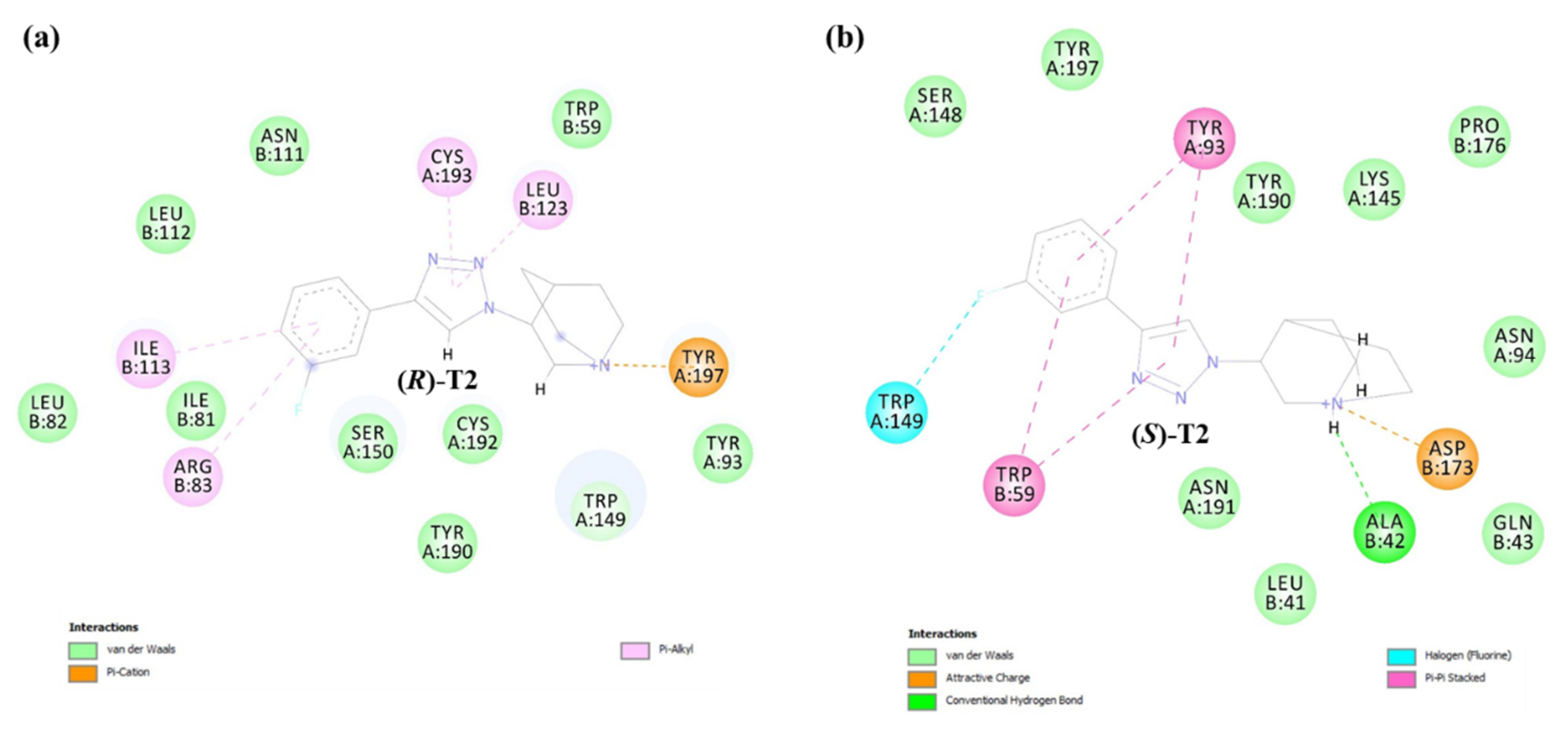 Ijms 21 06189 g007 Ijms 21 06189 g007