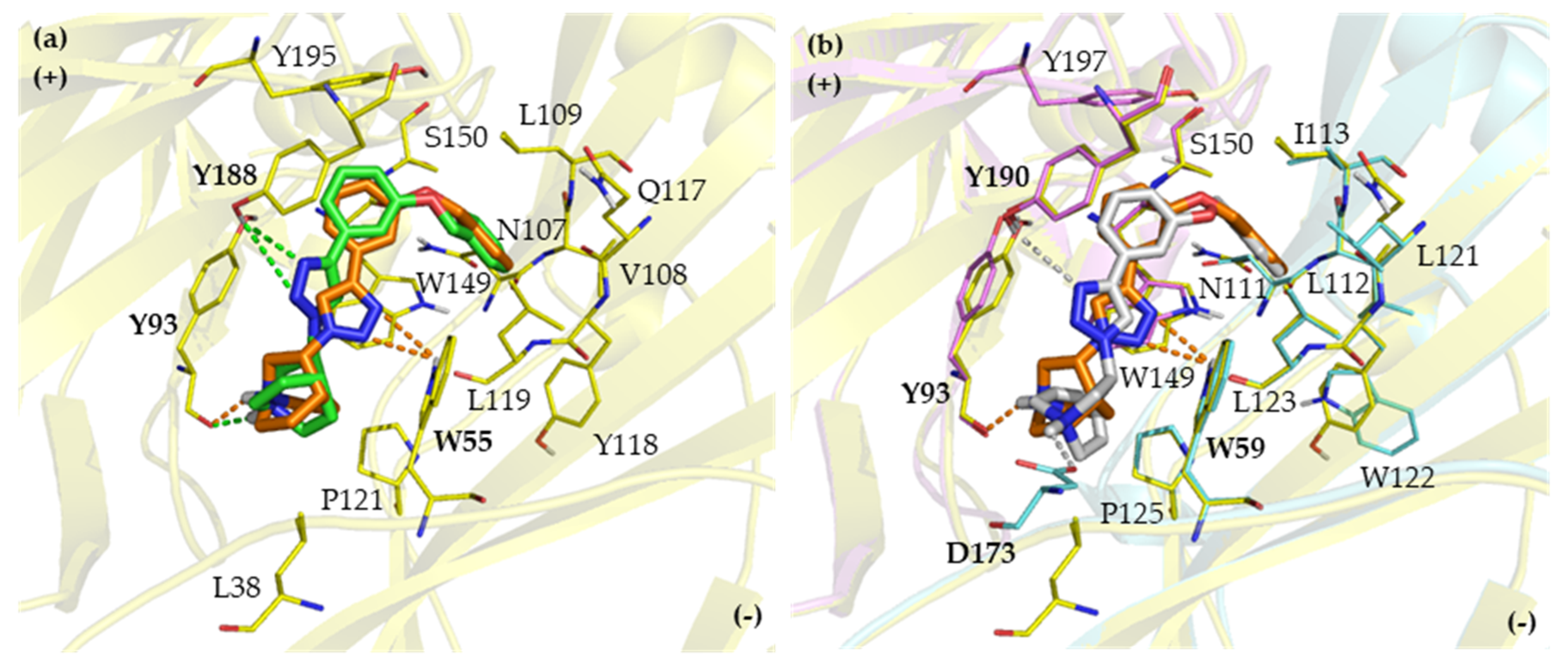 Ijms 21 06189 g008 Ijms 21 06189 g008