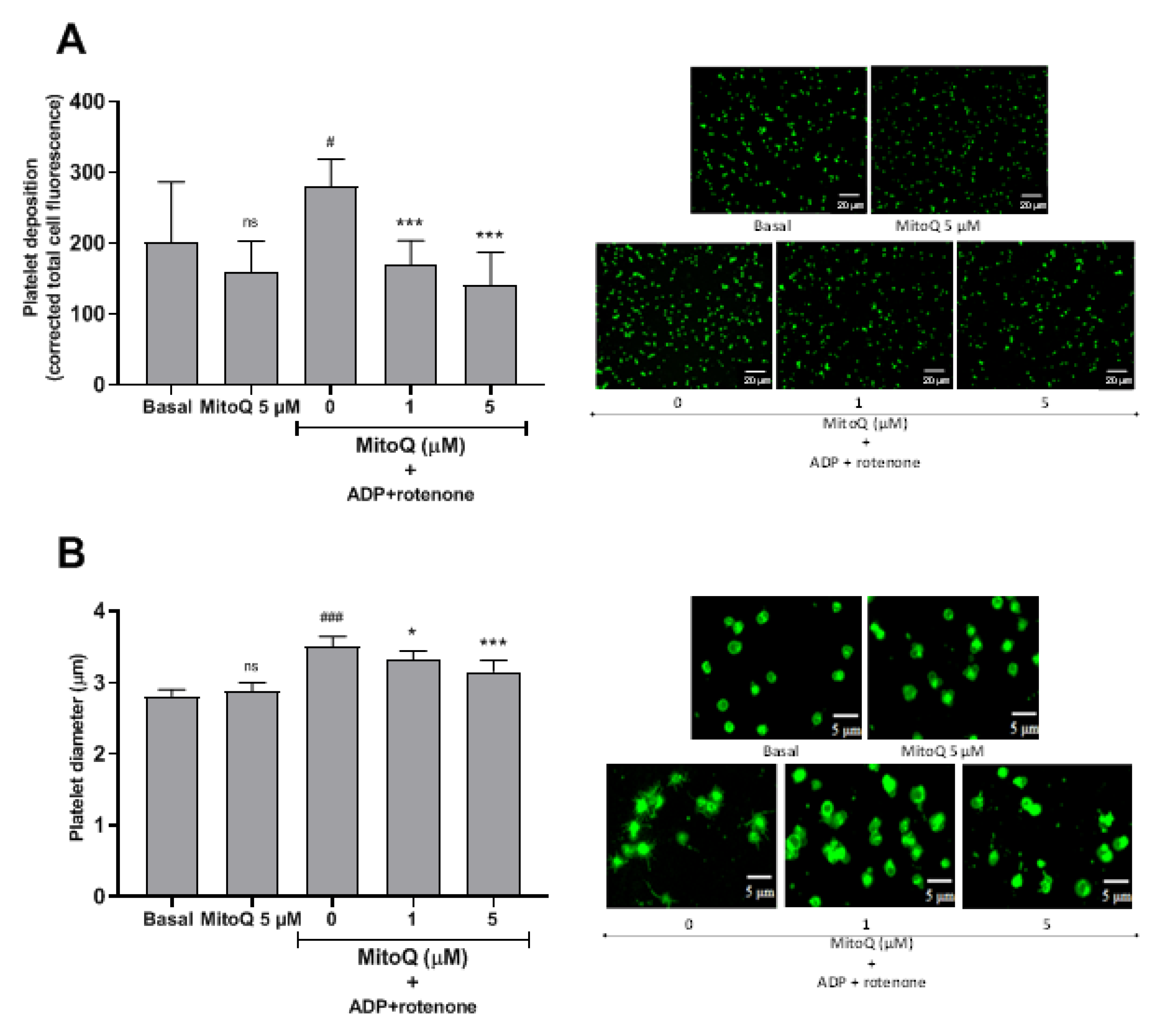 Ijms 21 06192 g002 Ijms 21 06192 g002
