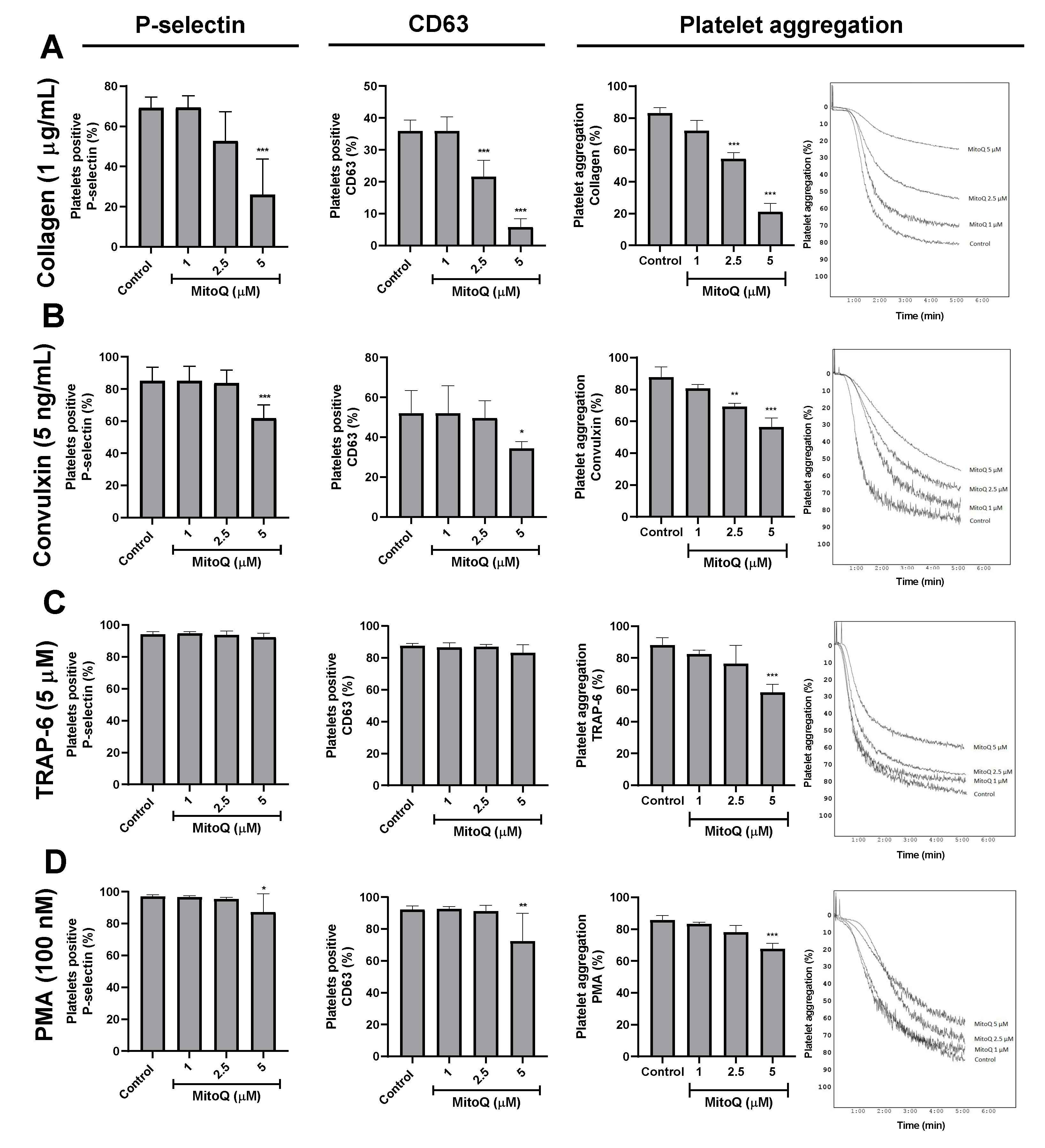 Ijms 21 06192 g003 Ijms 21 06192 g003