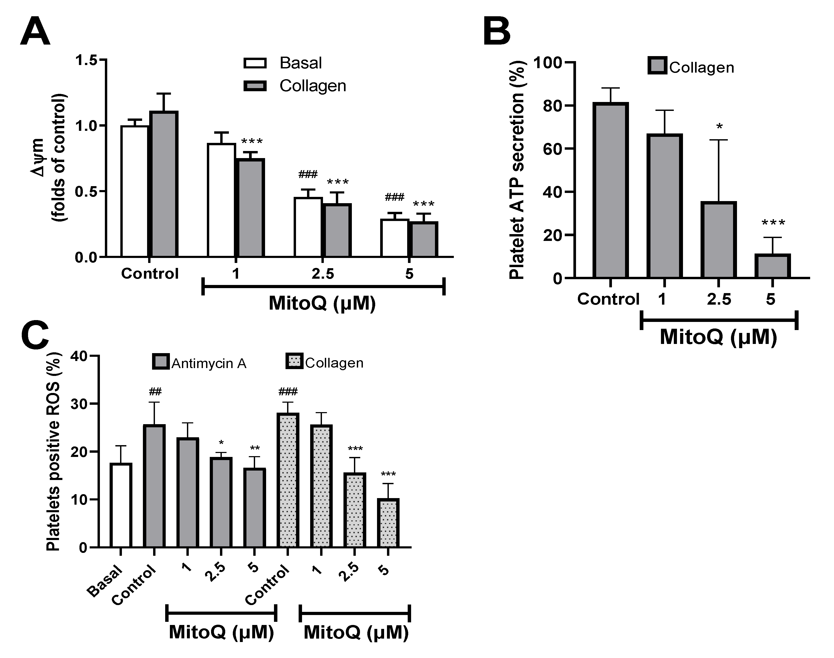 Ijms 21 06192 g004 Ijms 21 06192 g004