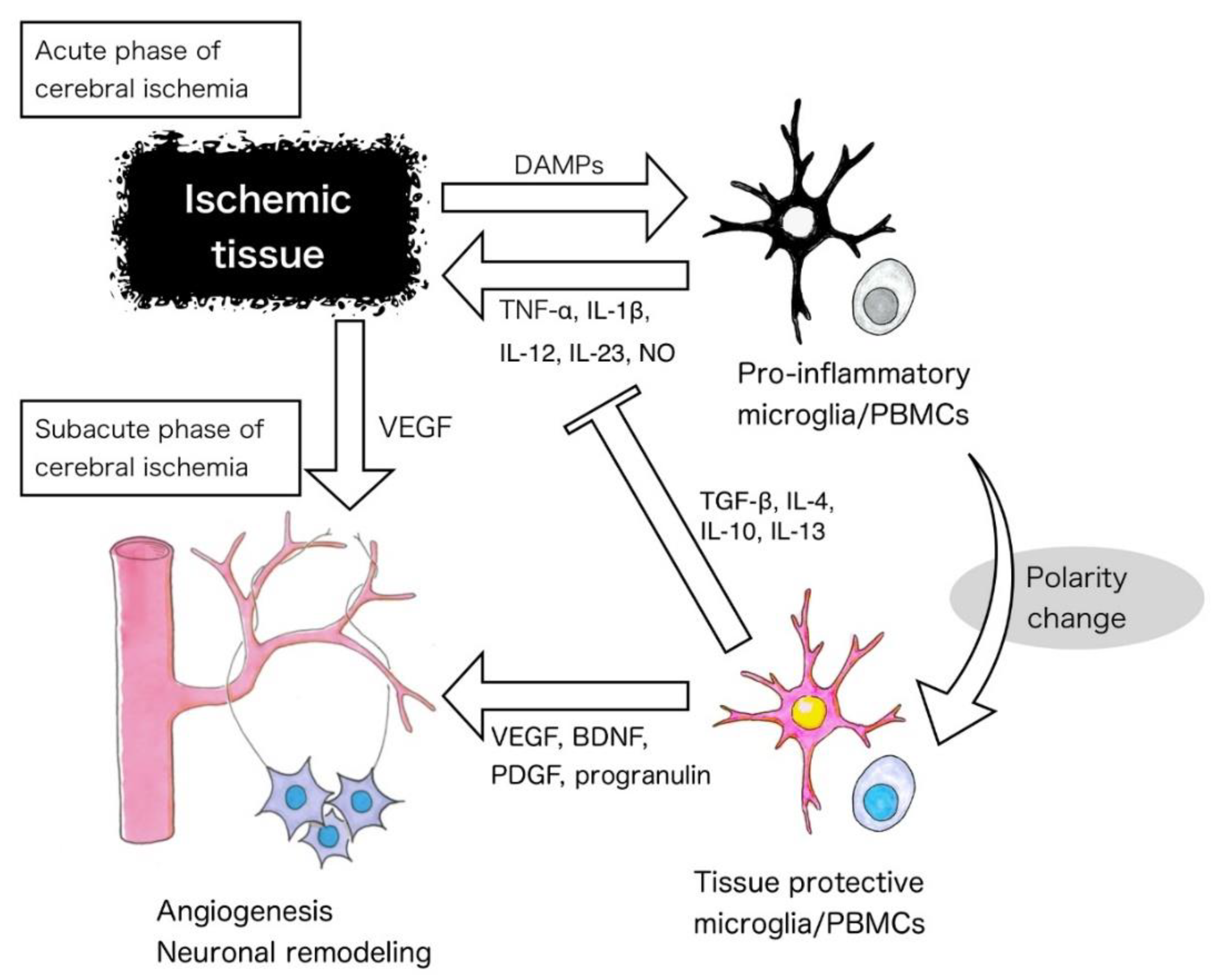 Ijms 21 06194 g002 Ijms 21 06194 g002