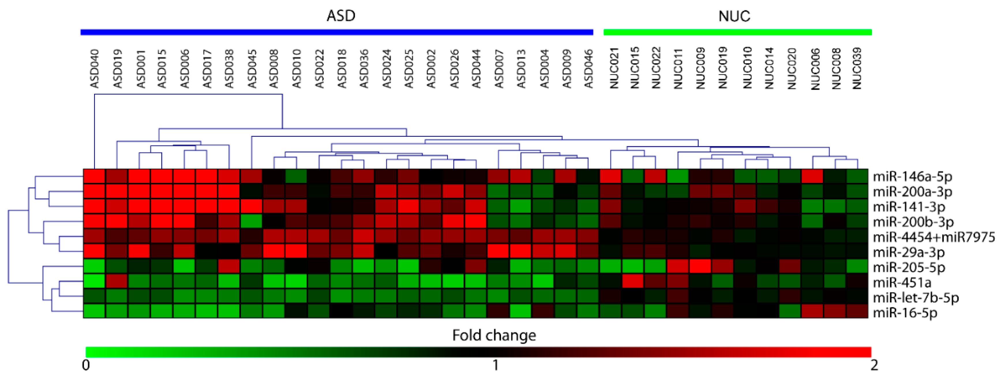Ijms 21 06203 g001 Ijms 21 06203 g001