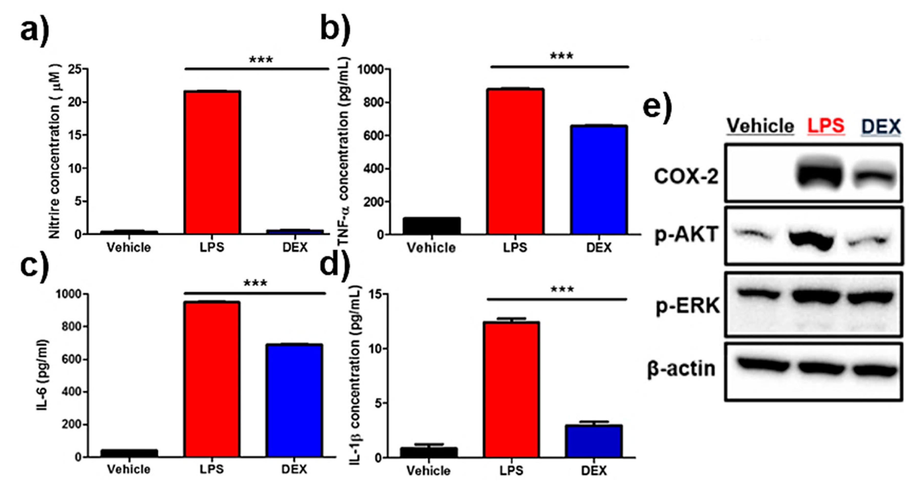 Ijms 21 06205 g004 Ijms 21 06205 g004