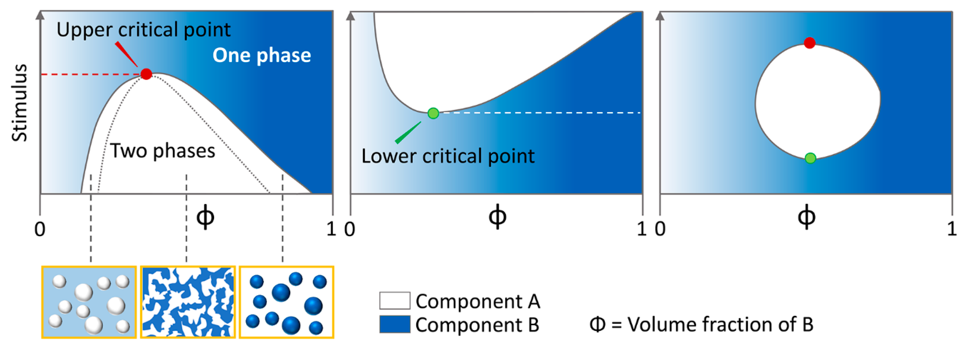Ijms 21 06208 g0a2 Ijms 21 06208 g0a2