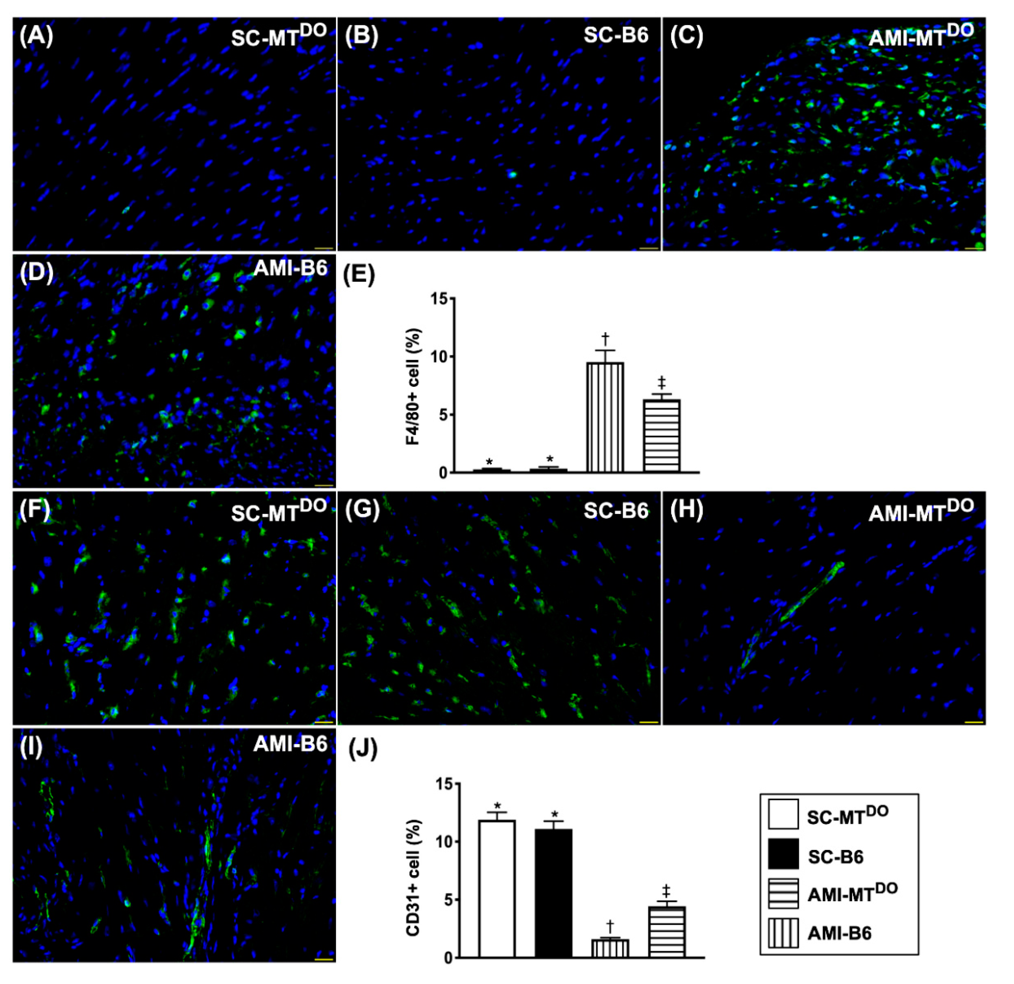 Ijms 21 06219 g008 Ijms 21 06219 g008