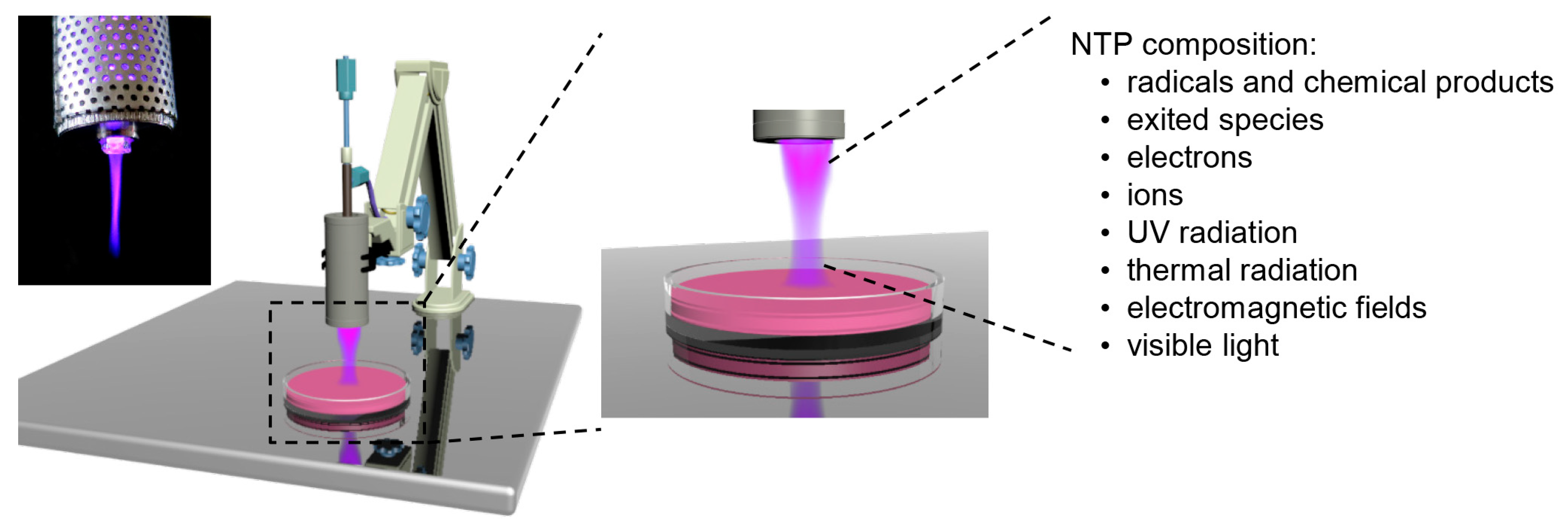 Ijms 21 06226 g001 Ijms 21 06226 g001