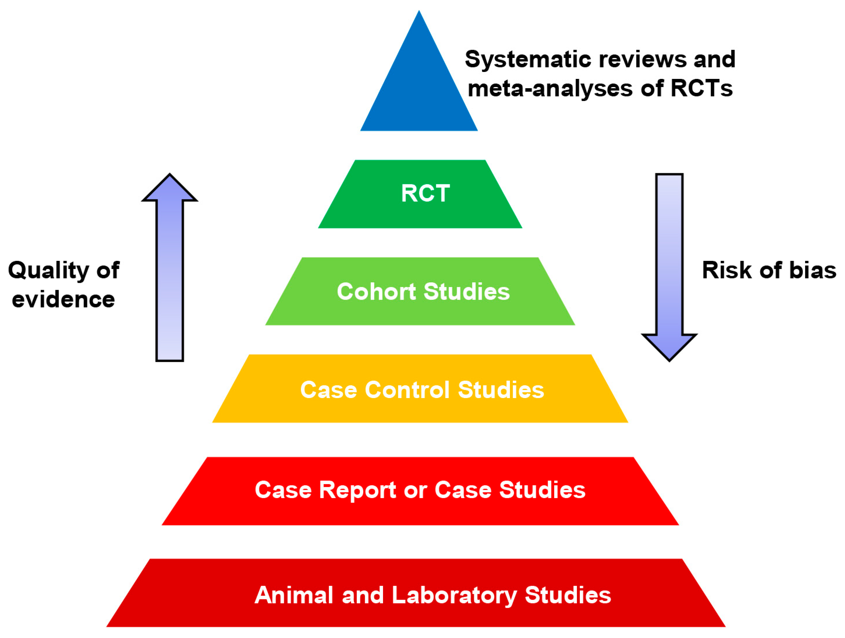 Ijms 21 06226 g002 Ijms 21 06226 g002