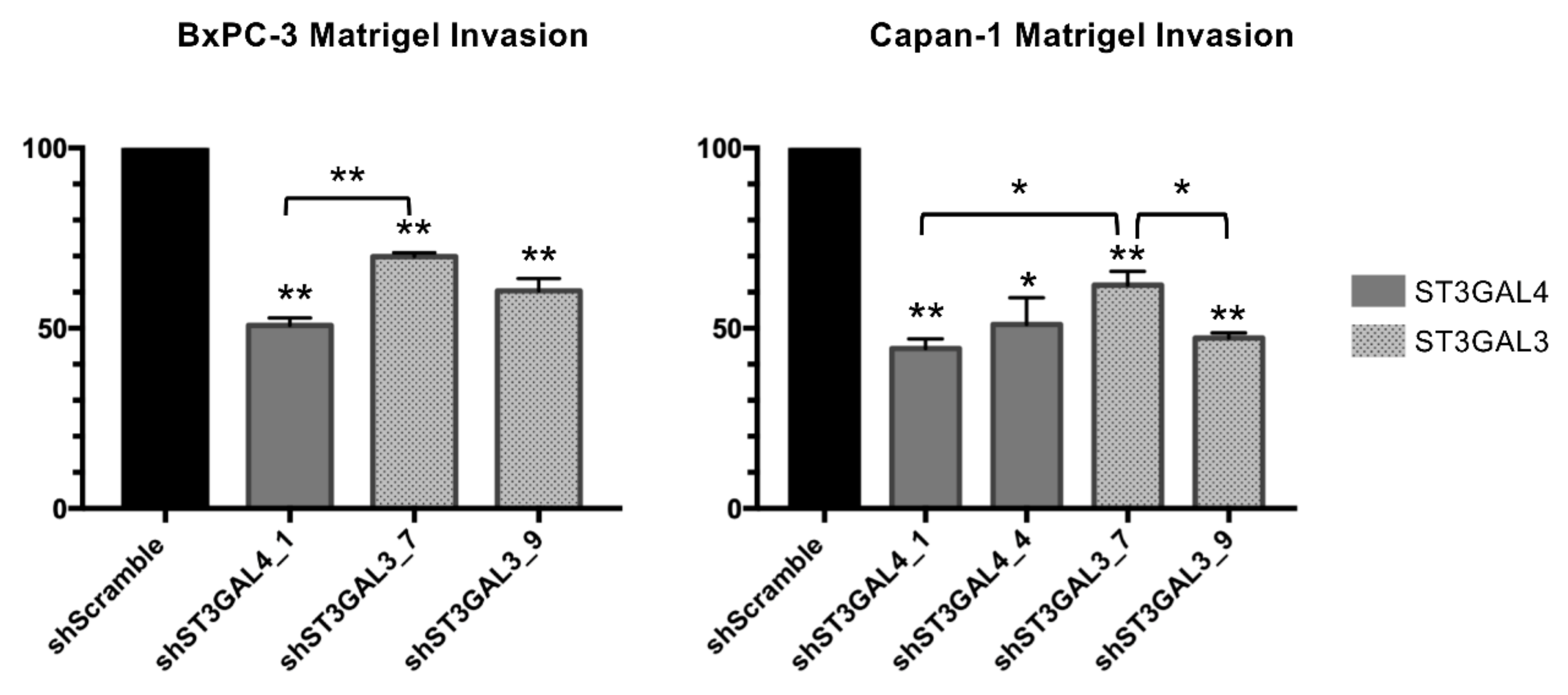Ijms 21 06239 g008 Ijms 21 06239 g008
