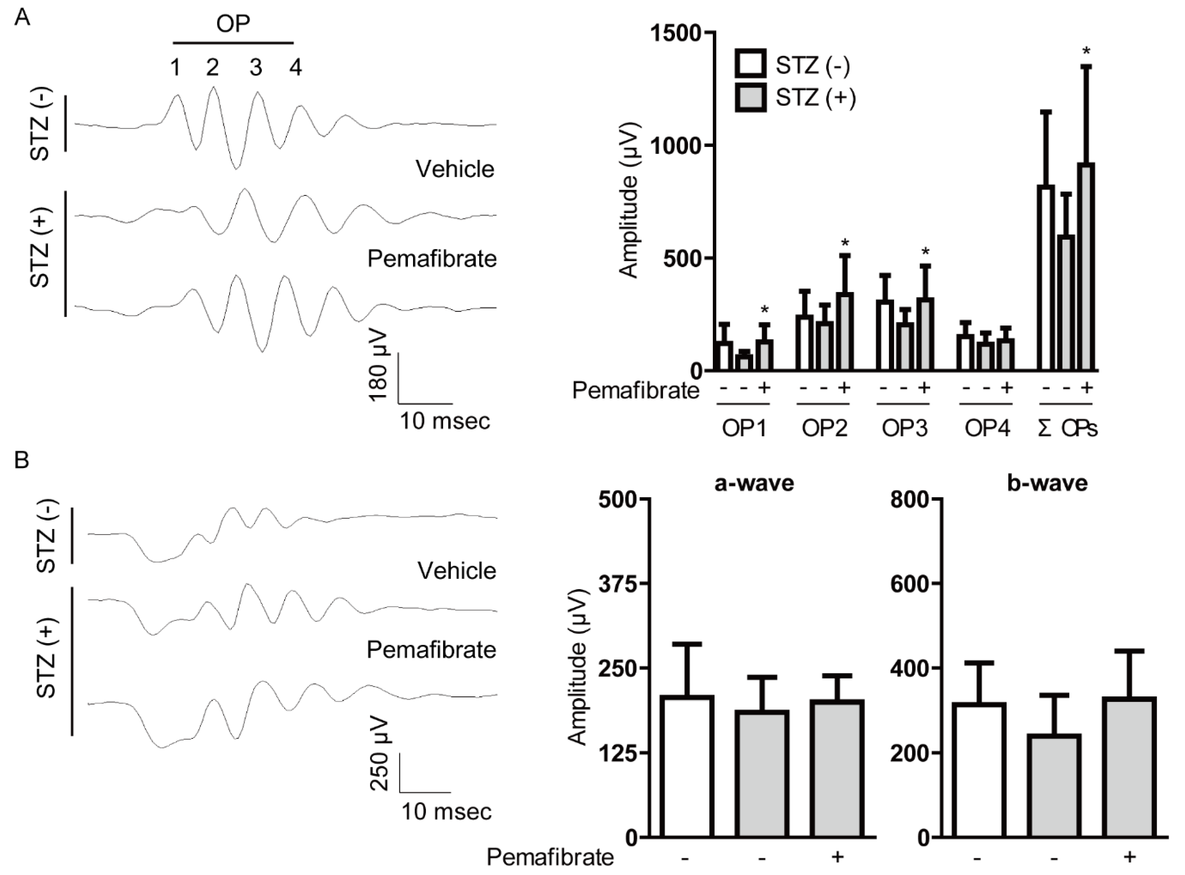 Ijms 21 06243 g002 Ijms 21 06243 g002