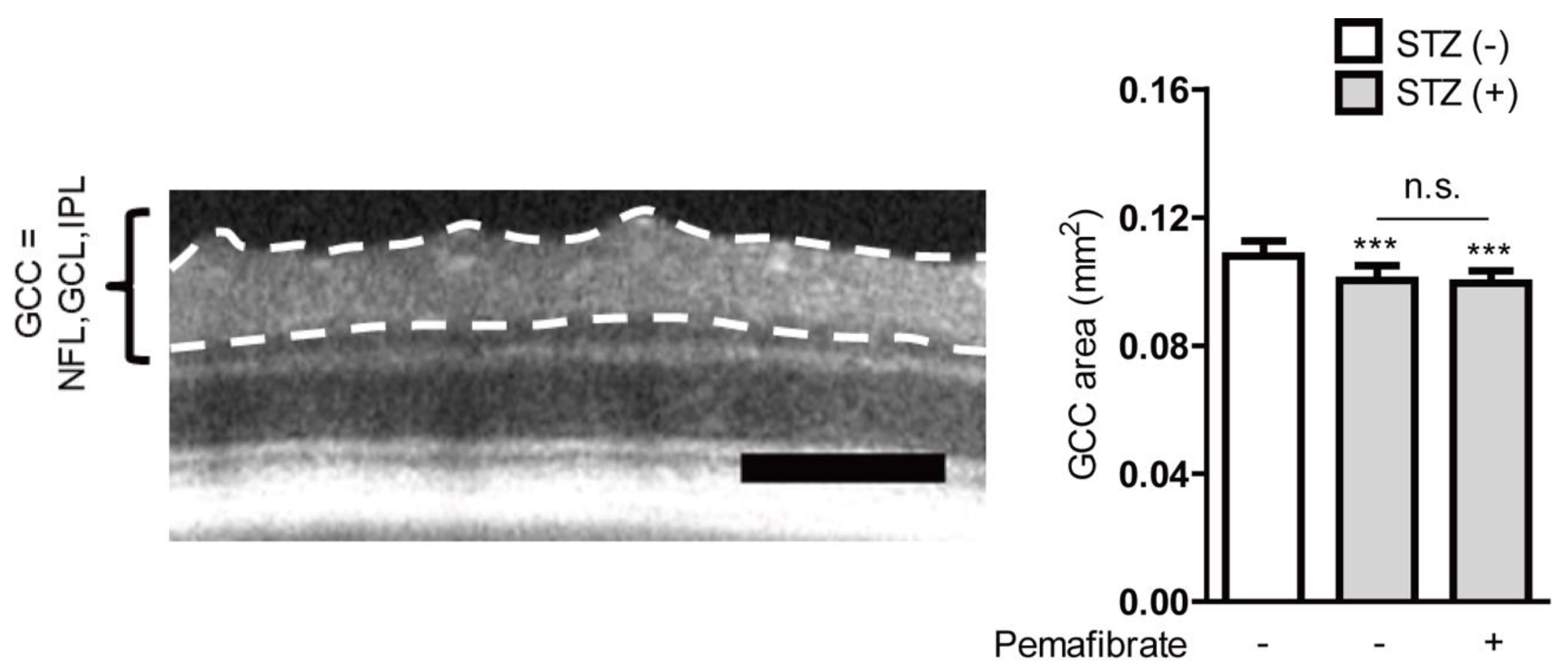 Ijms 21 06243 g0a2 Ijms 21 06243 g0a2