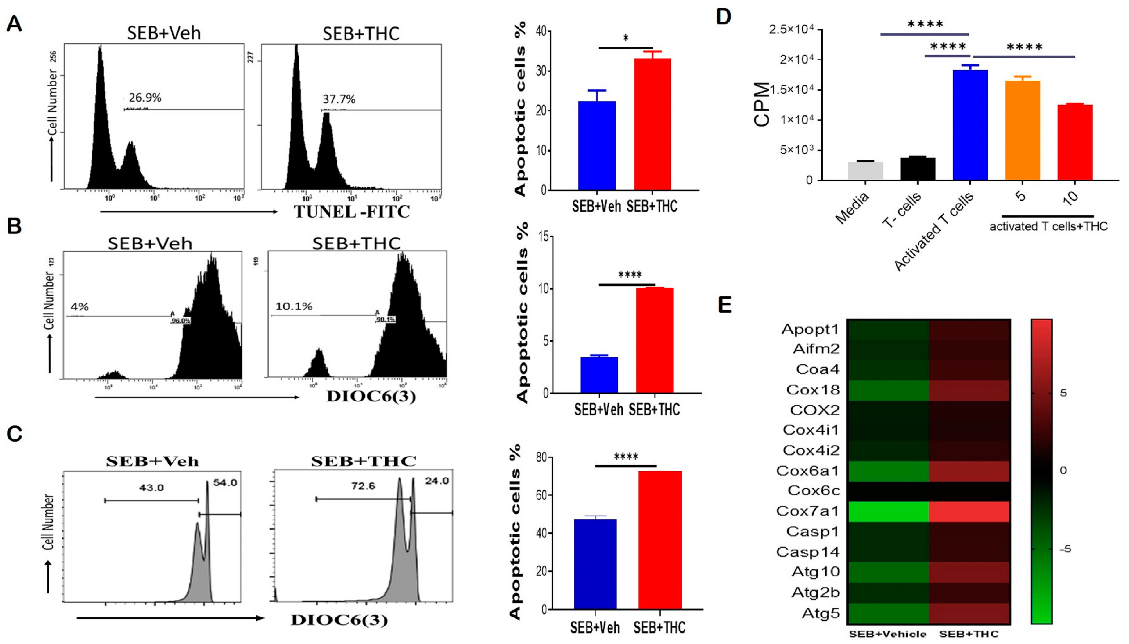 Ijms 21 06244 g002 Ijms 21 06244 g002