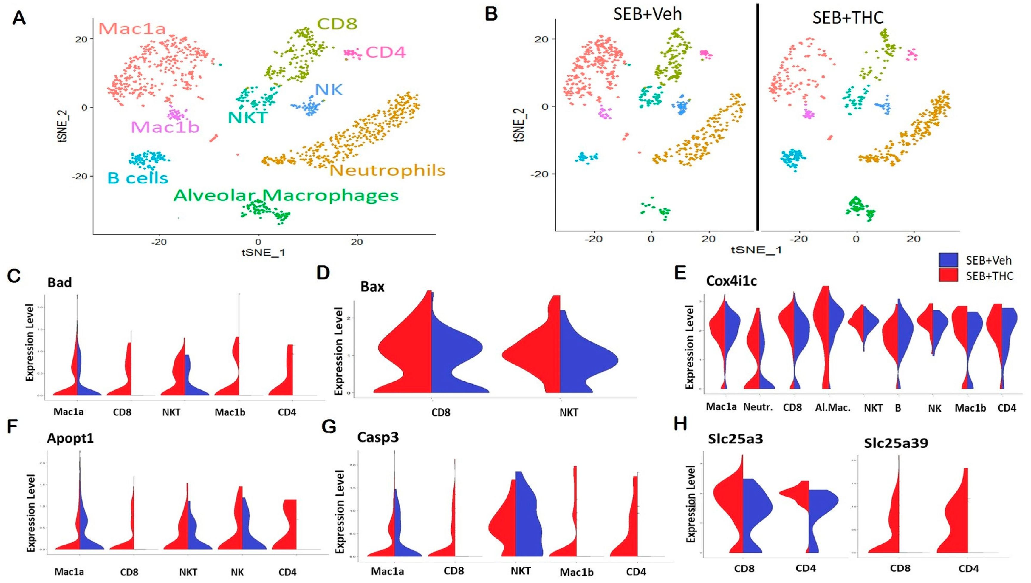 Ijms 21 06244 g003 Ijms 21 06244 g003