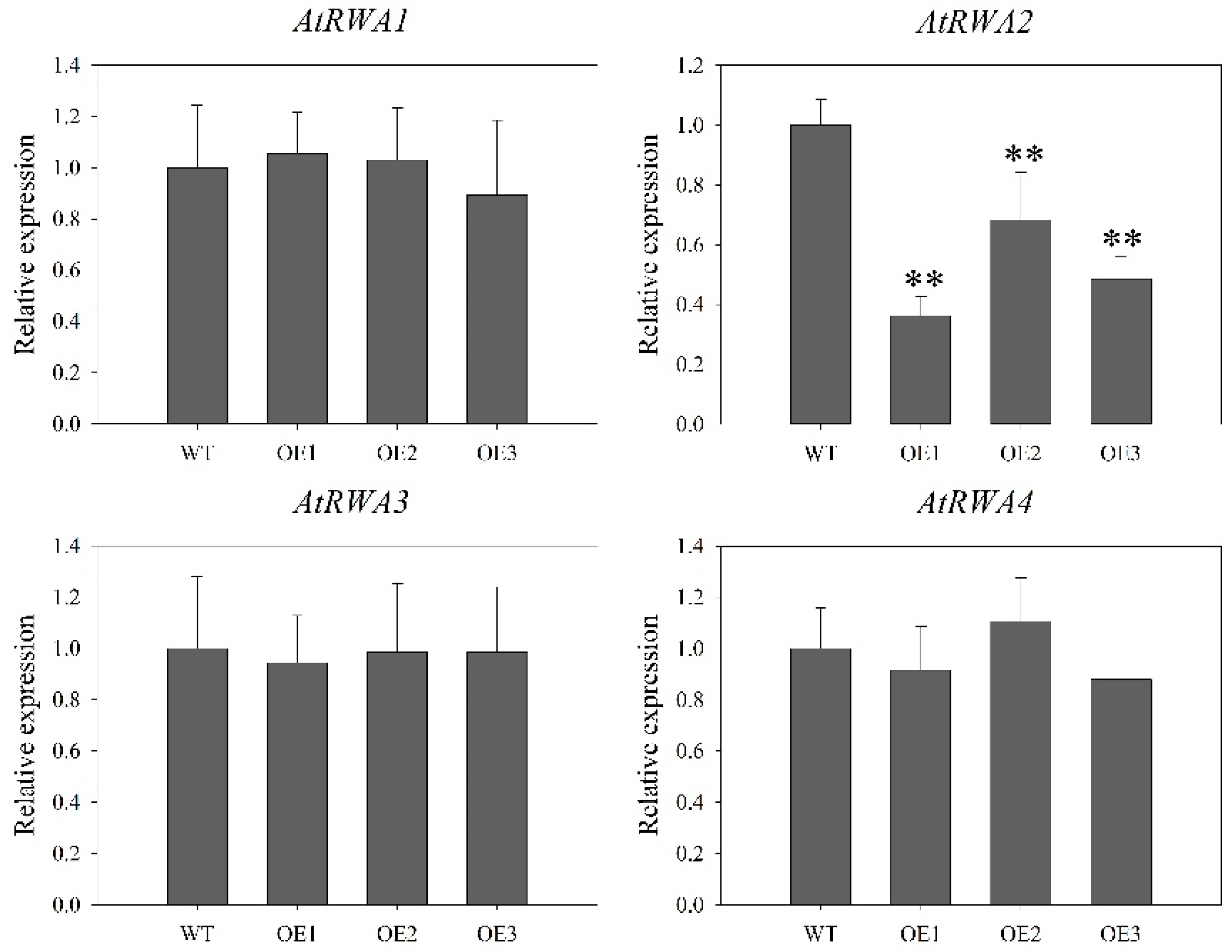 Ijms 21 06250 g009 Ijms 21 06250 g009
