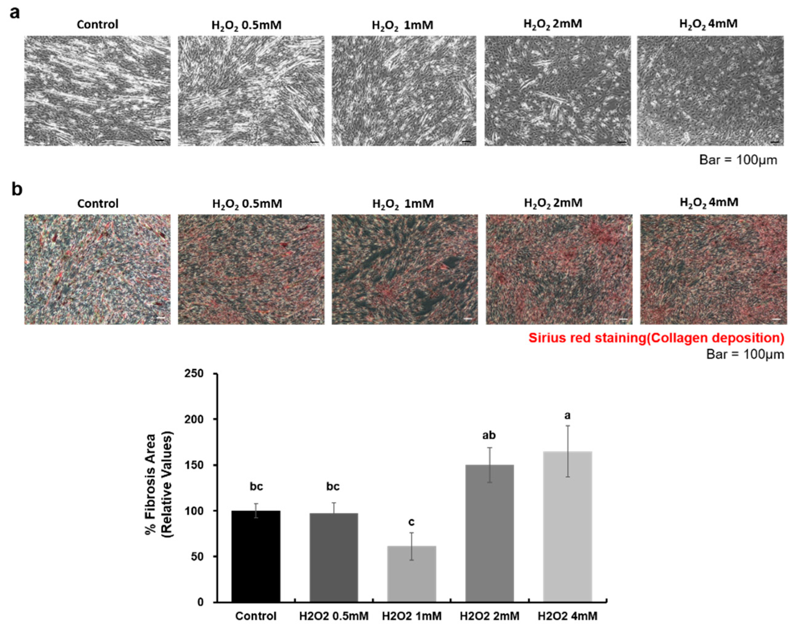 Ijms 21 06269 g0a1 Ijms 21 06269 g0a1