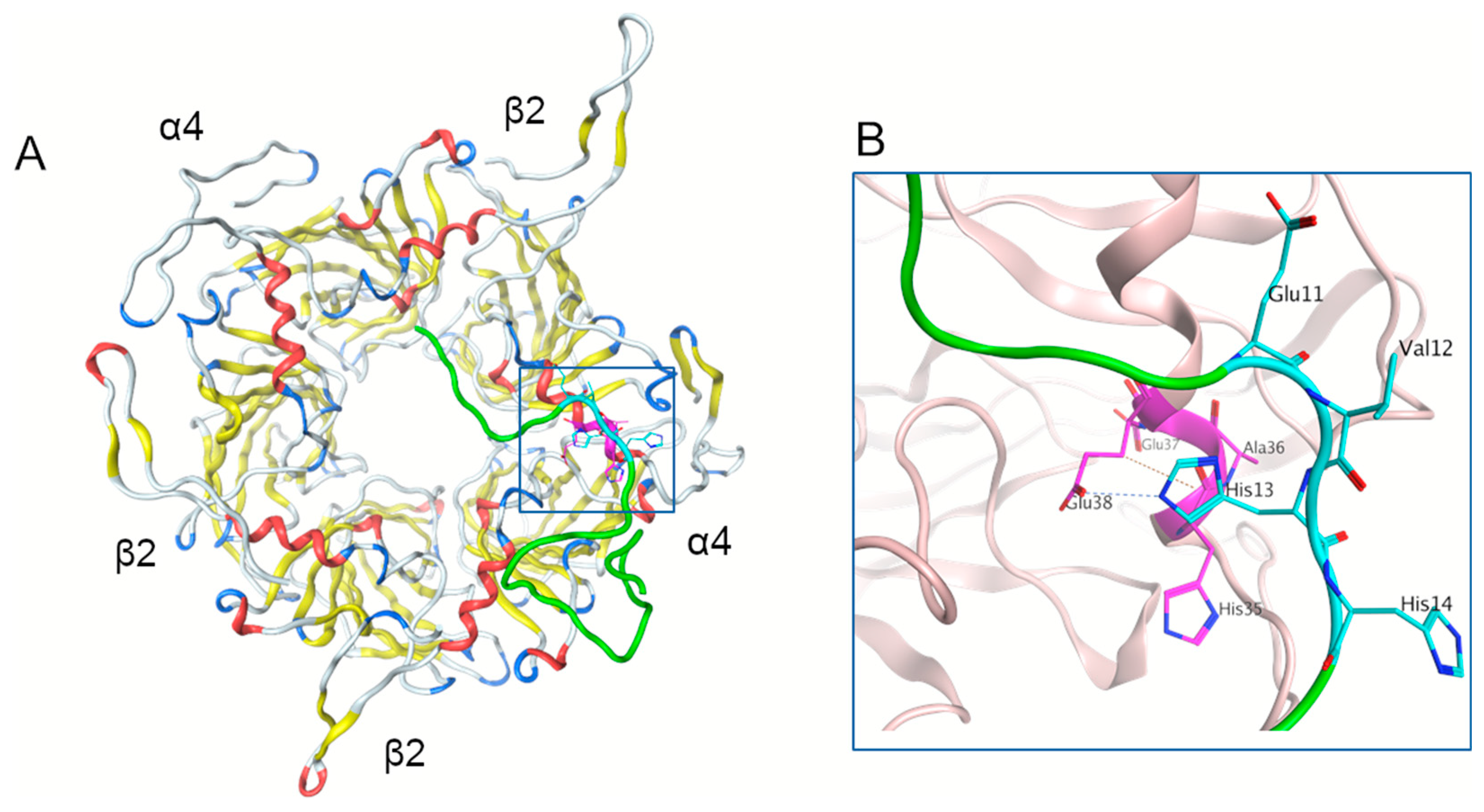 Ijms 21 06272 g001 Ijms 21 06272 g001