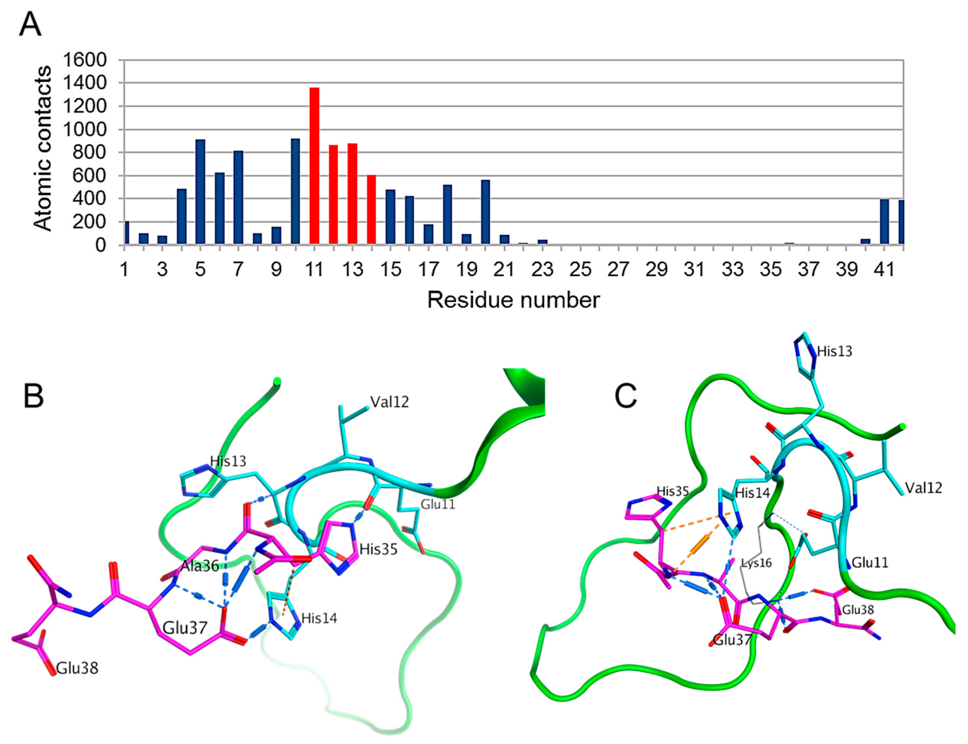 Ijms 21 06272 g002 Ijms 21 06272 g002