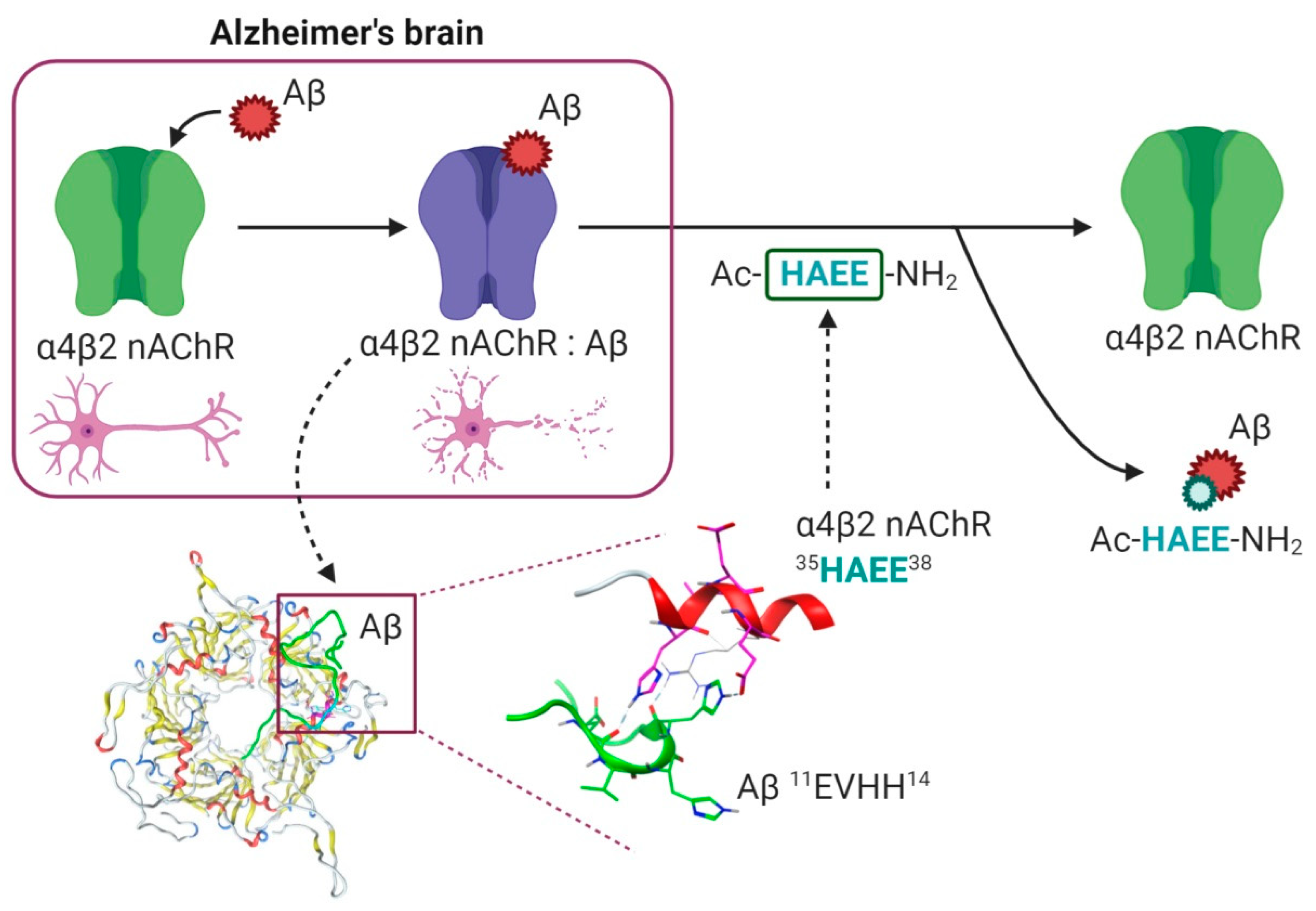 Ijms 21 06272 g006 Ijms 21 06272 g006