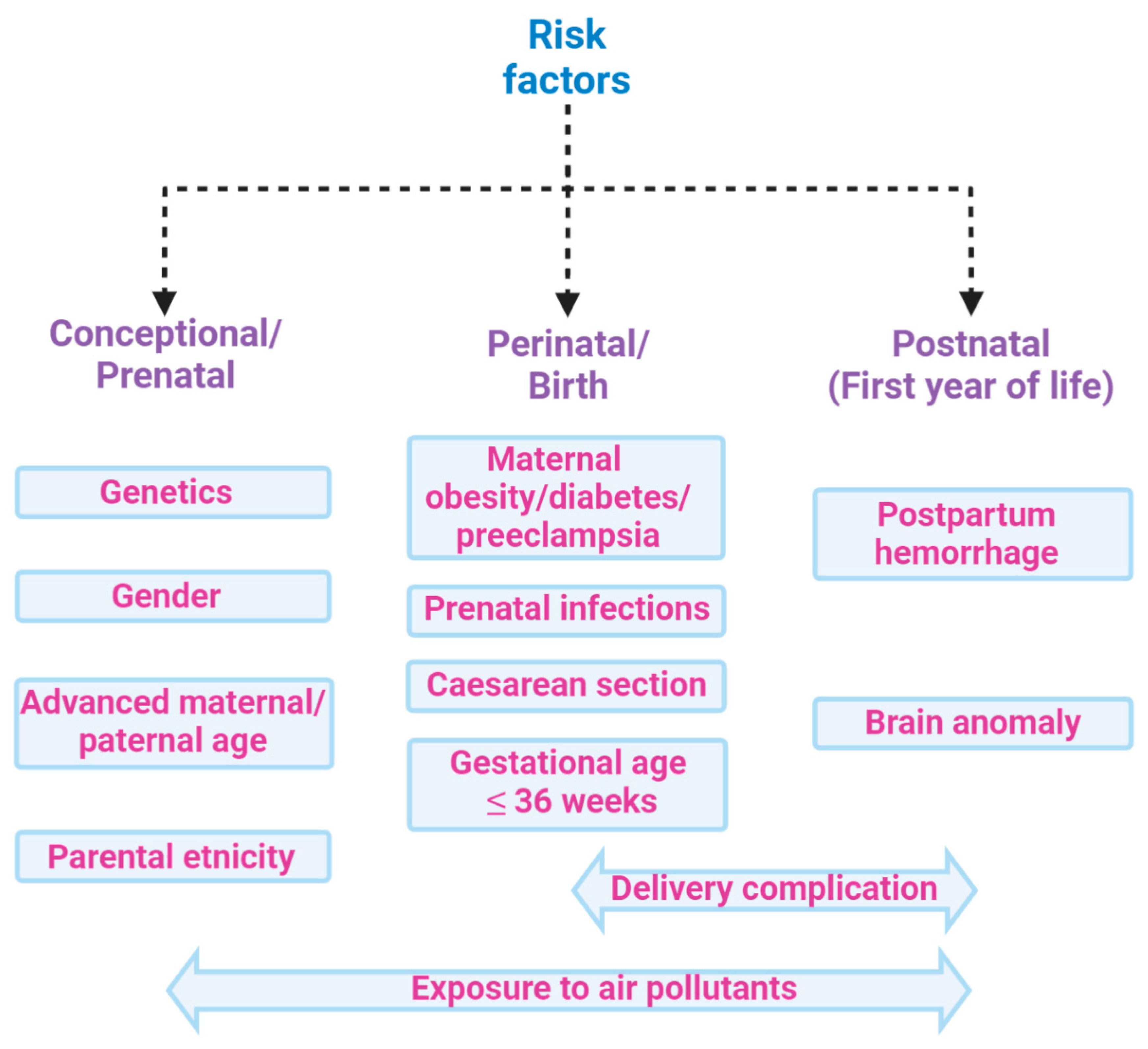 Ijms 21 06274 g002 Ijms 21 06274 g002