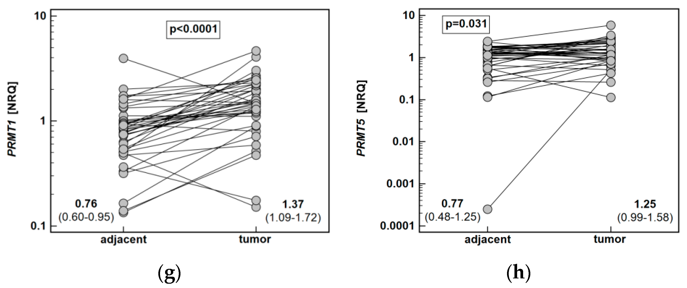 Ijms 21 06282 g006b Ijms 21 06282 g006b