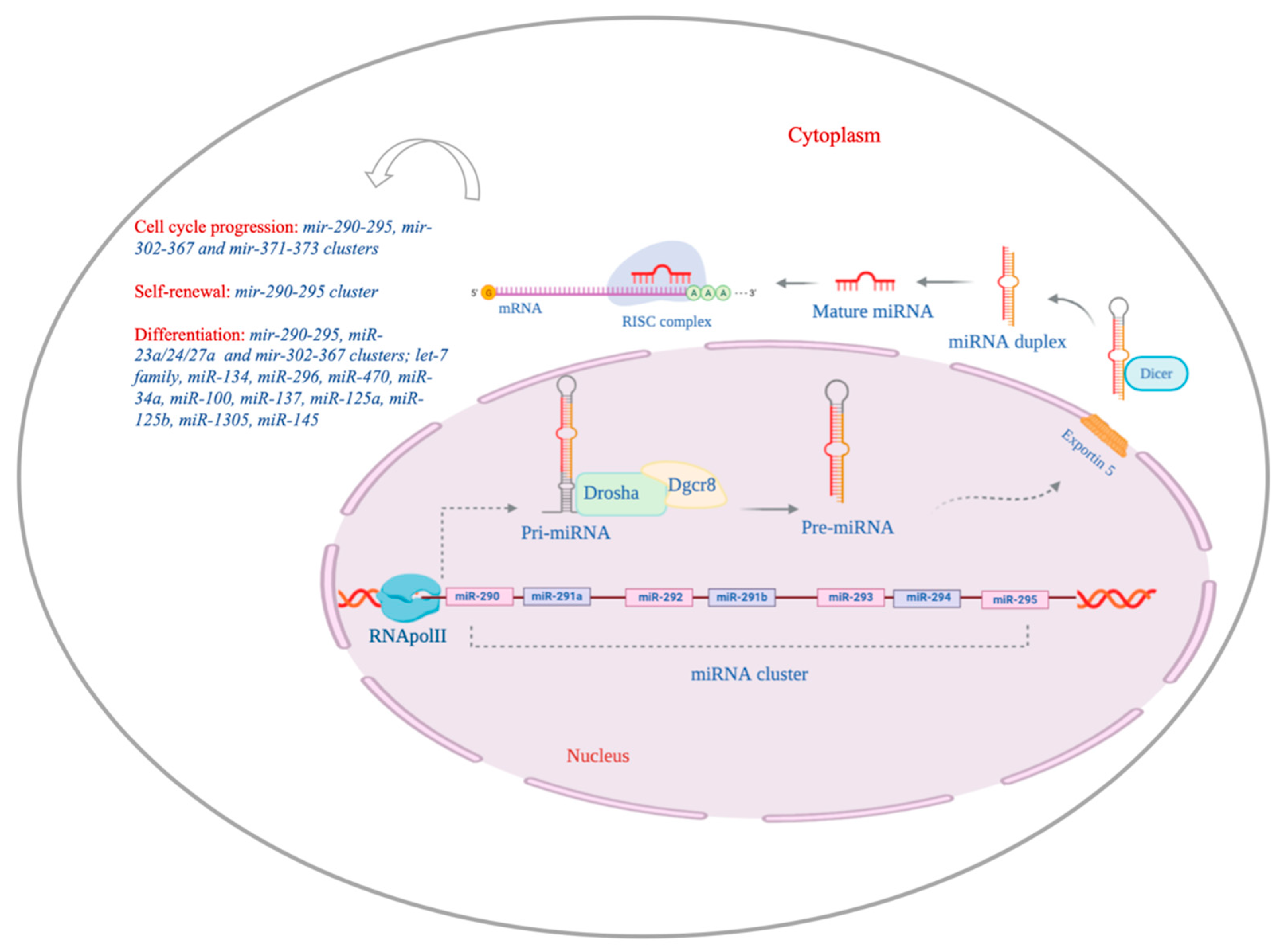 Ijms 21 06285 g001 Ijms 21 06285 g001
