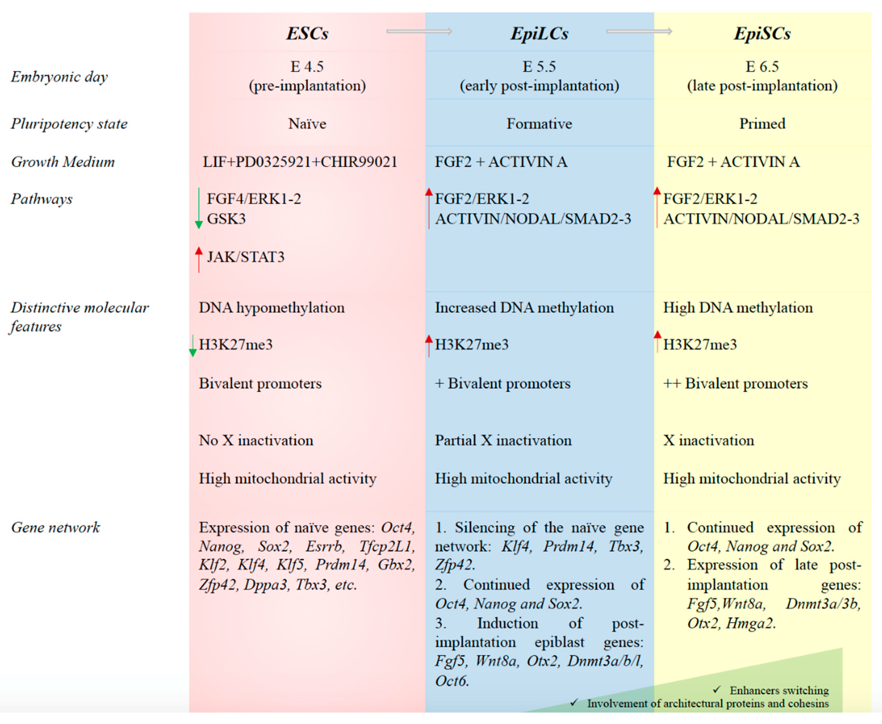 Ijms 21 06285 g002 Ijms 21 06285 g002