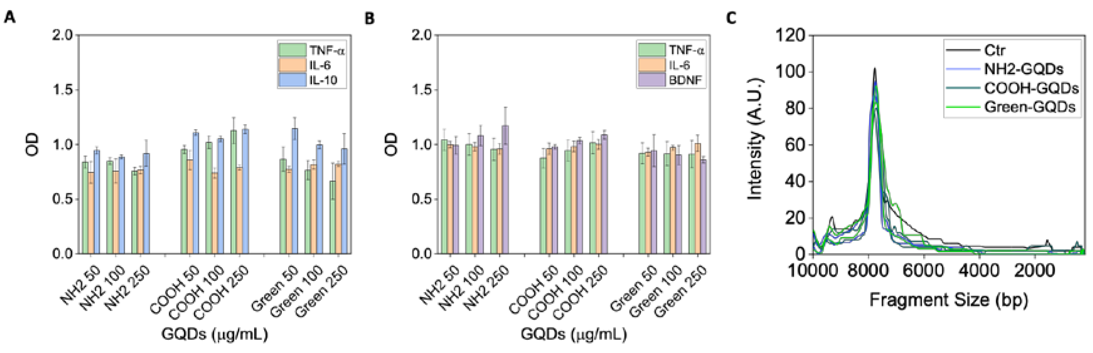 Ijms 21 06301 g003 Ijms 21 06301 g003