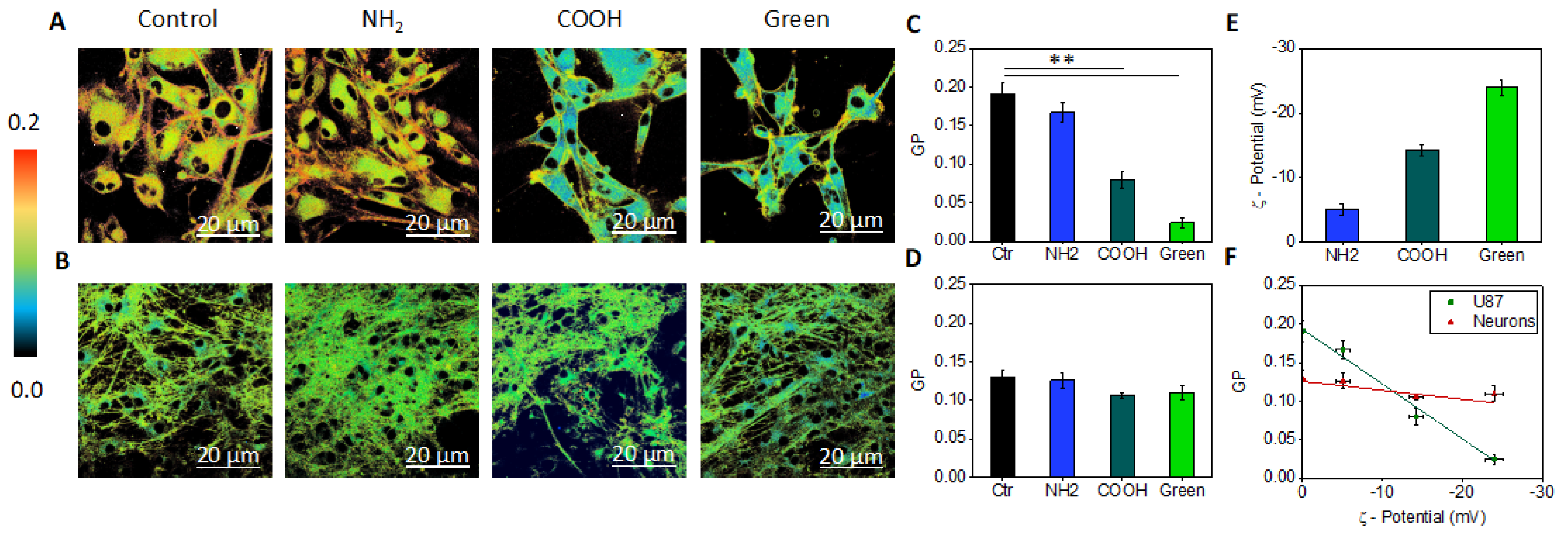 Ijms 21 06301 g006 Ijms 21 06301 g006