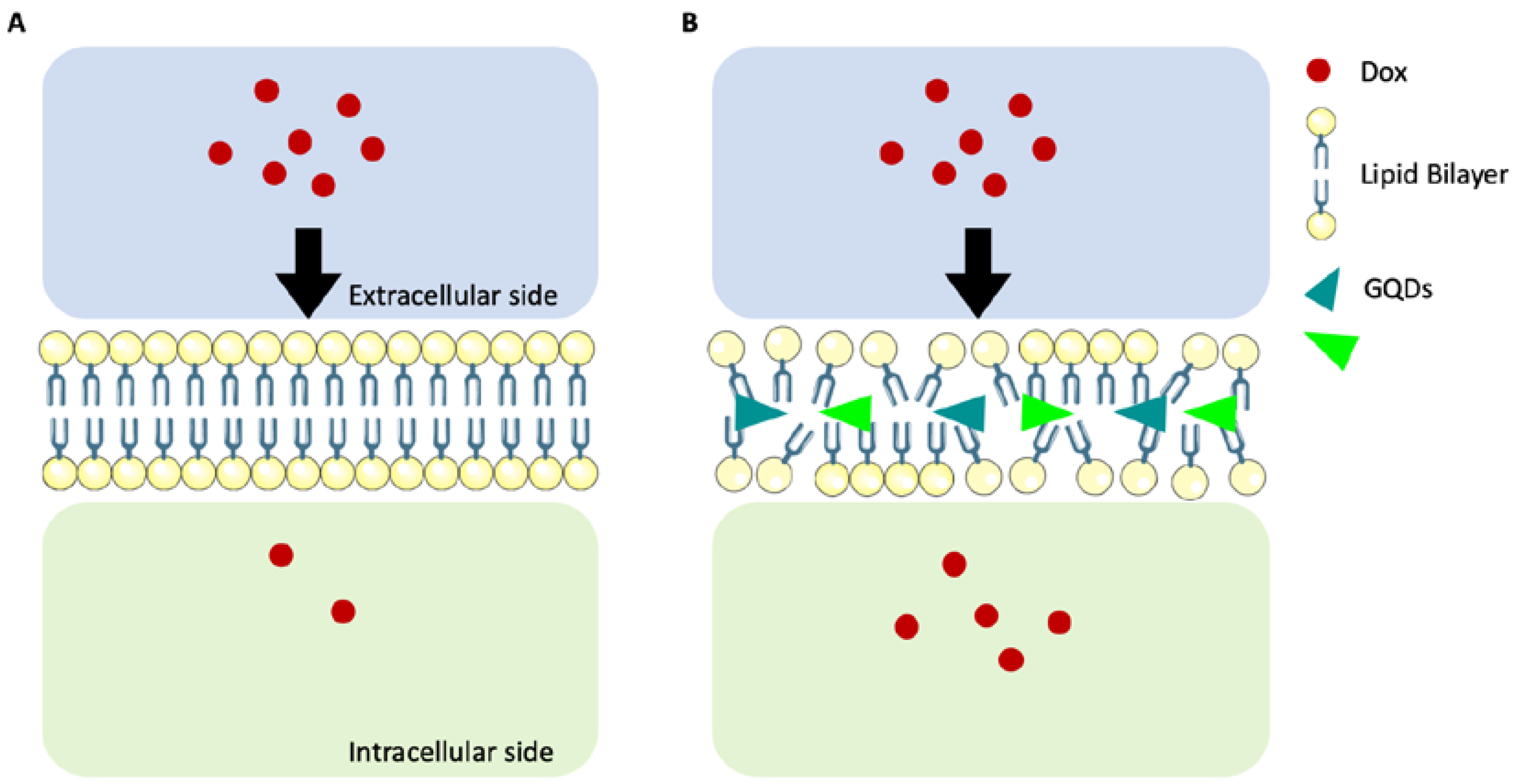 Ijms 21 06301 sch001 Ijms 21 06301 sch001