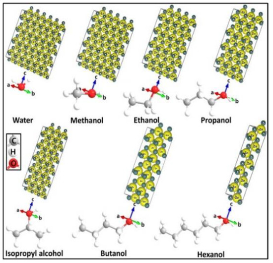 IJMS Free FullText Interactions of Zinc Oxide Nanostructures with Mammalian Cells