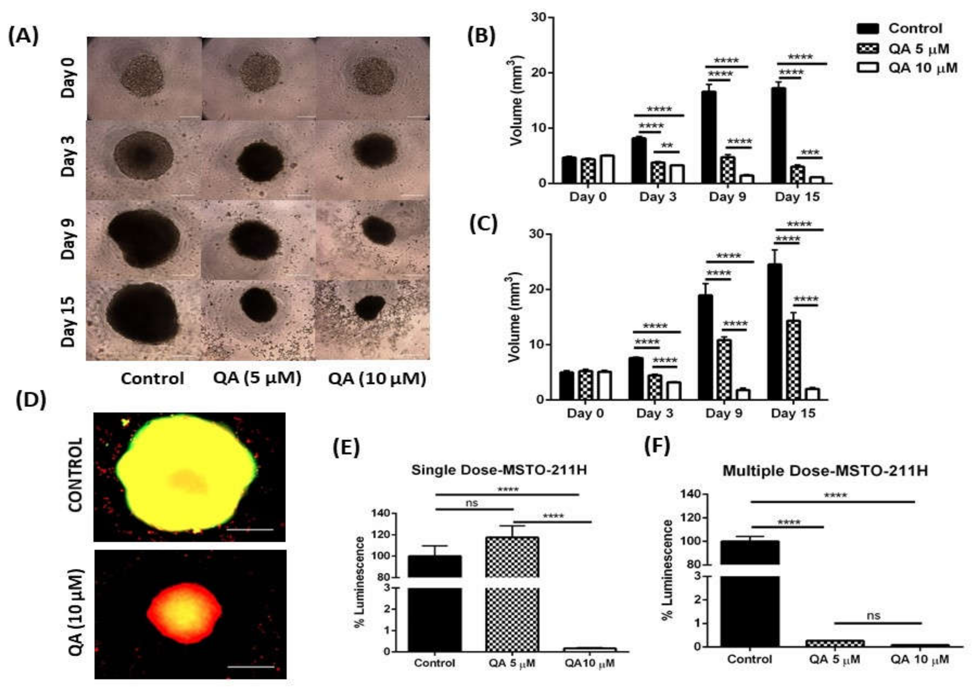 Ijms 21 06306 g004 Ijms 21 06306 g004