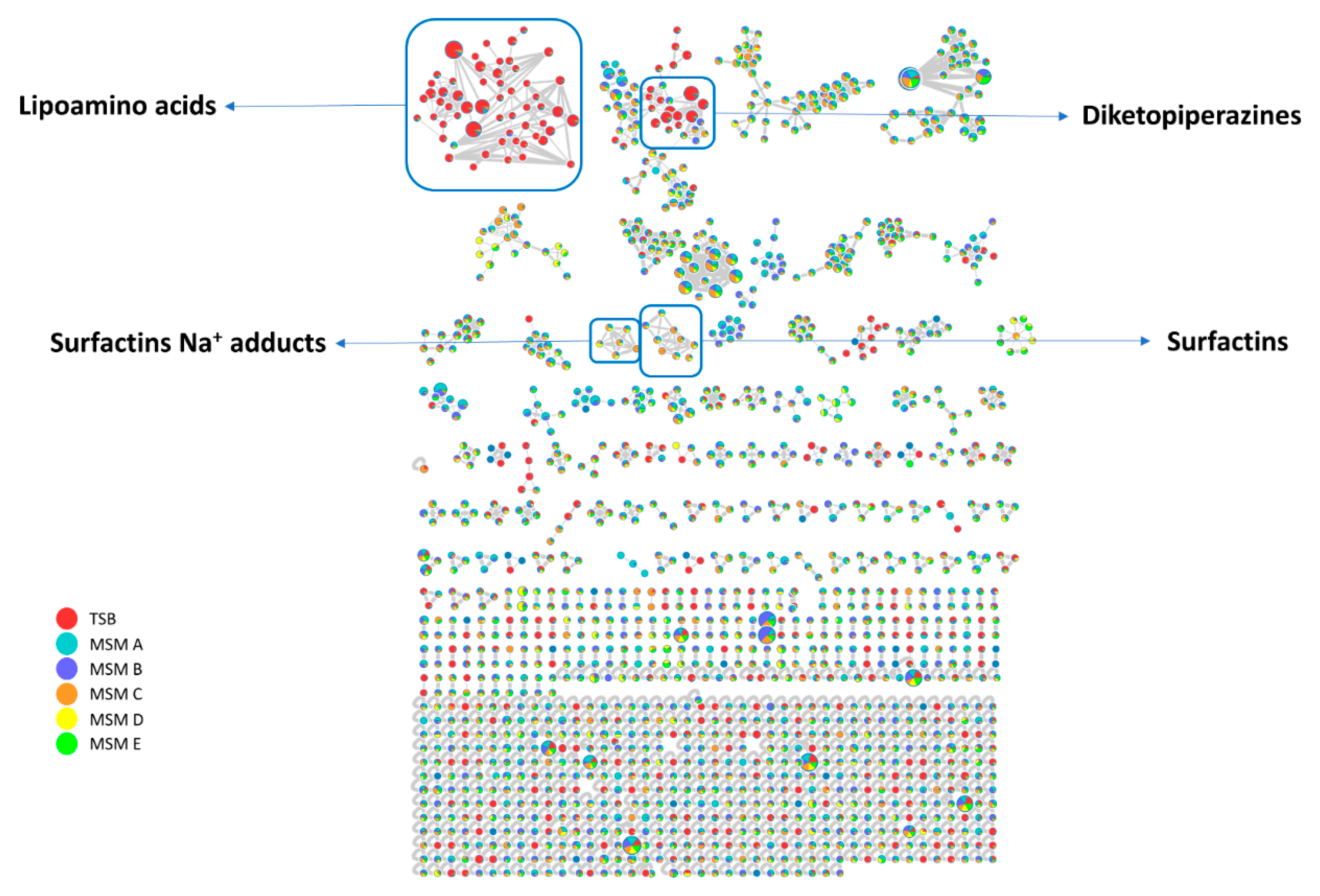 Ijms 21 06307 g002 Ijms 21 06307 g002