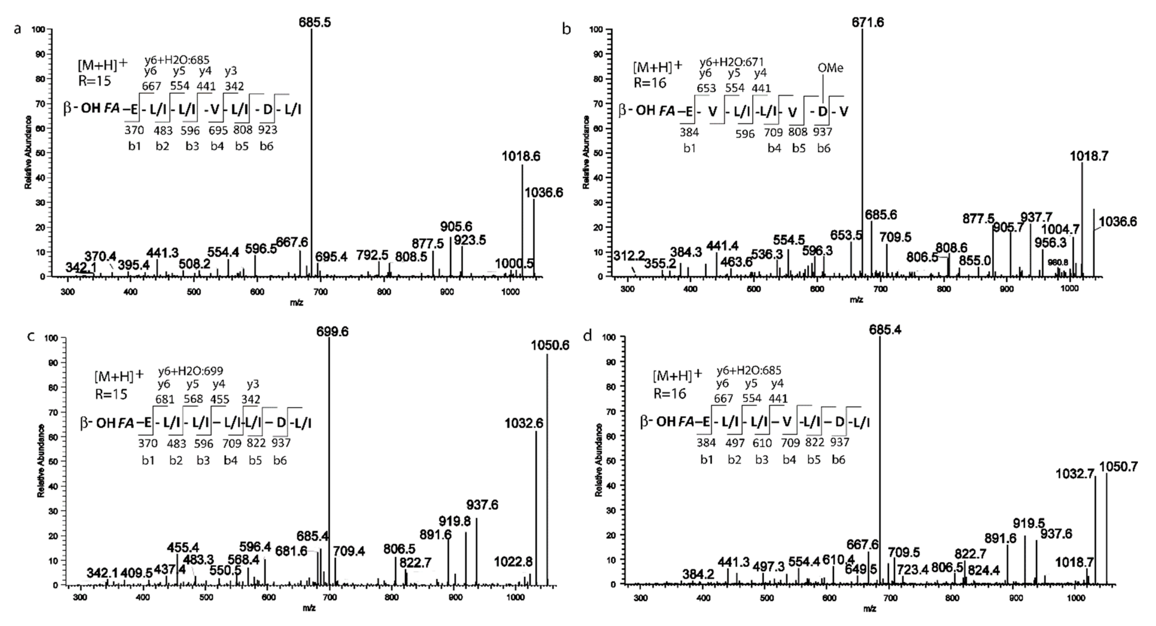 Ijms 21 06307 g004 Ijms 21 06307 g004