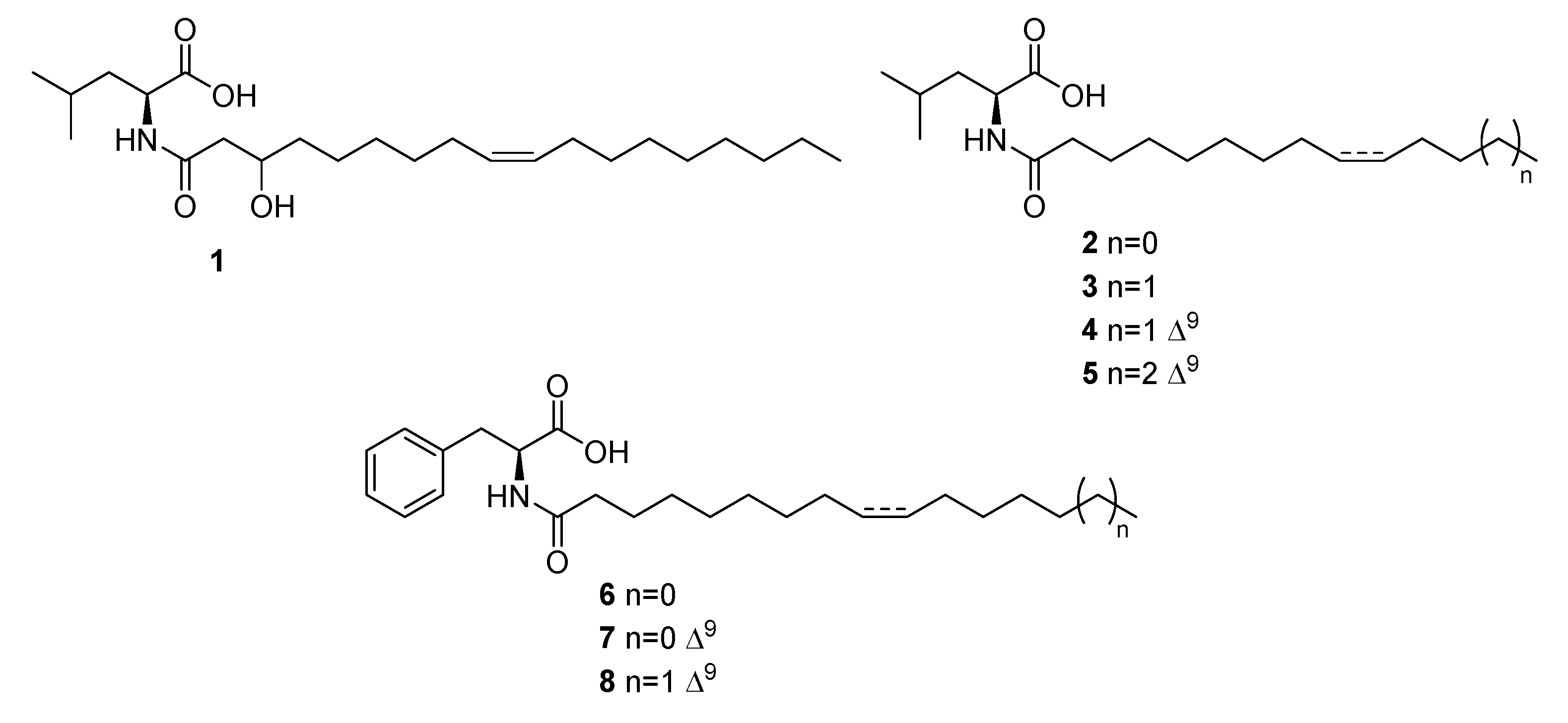 Ijms 21 06307 g007 Ijms 21 06307 g007