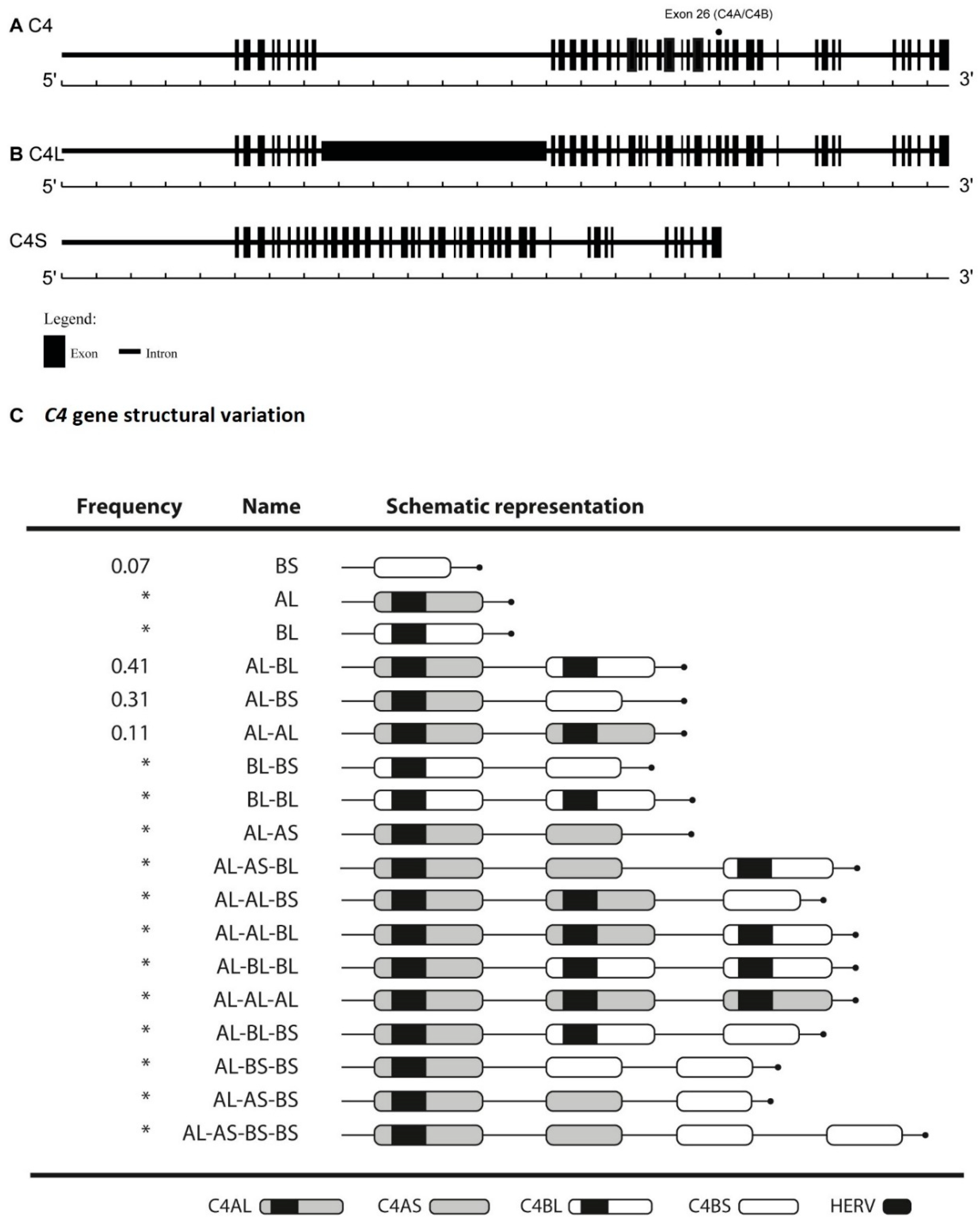 Ijms 21 06309 g001 Ijms 21 06309 g001