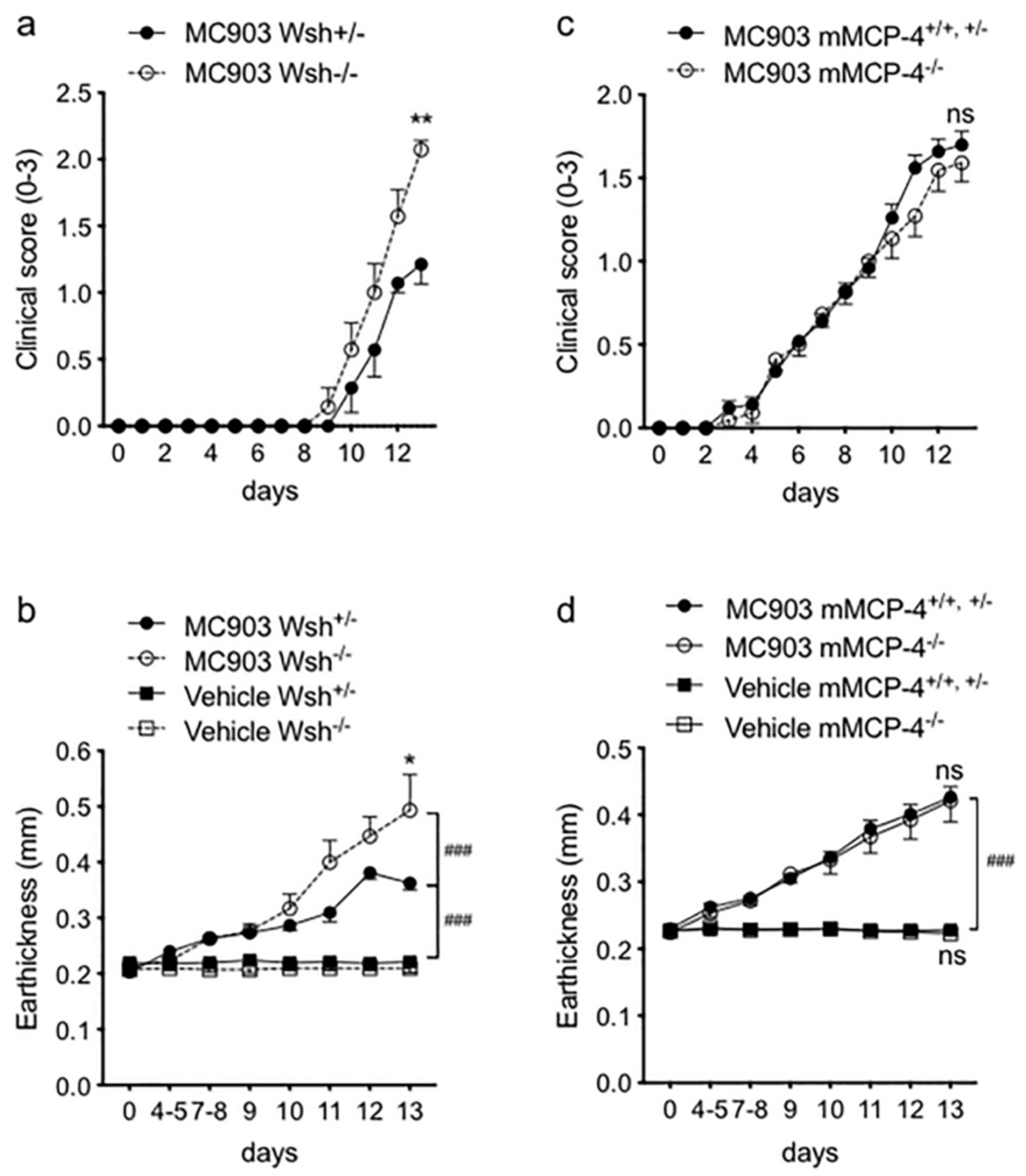 Ijms 21 06311 g001 Ijms 21 06311 g001