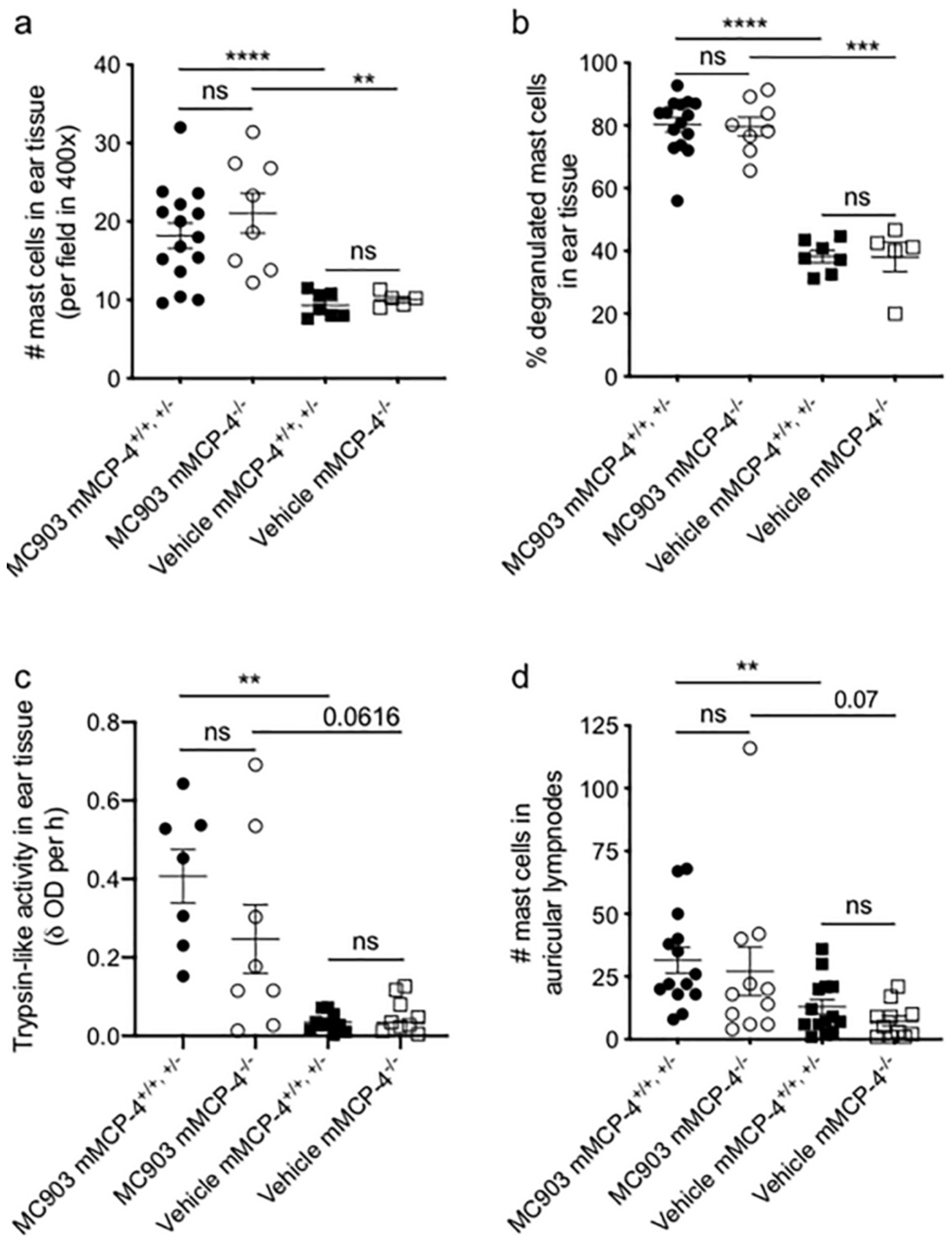 Ijms 21 06311 g002 Ijms 21 06311 g002