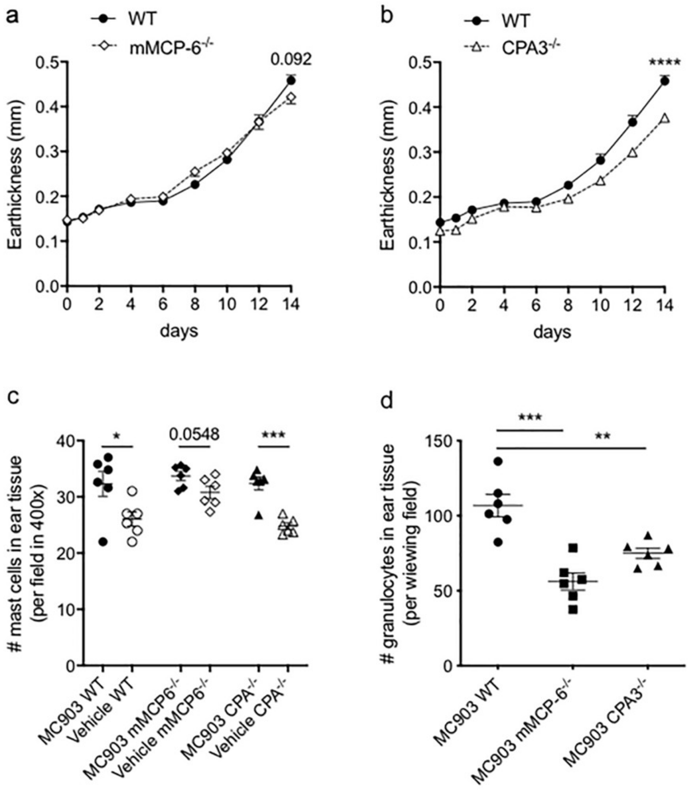 Ijms 21 06311 g006 Ijms 21 06311 g006