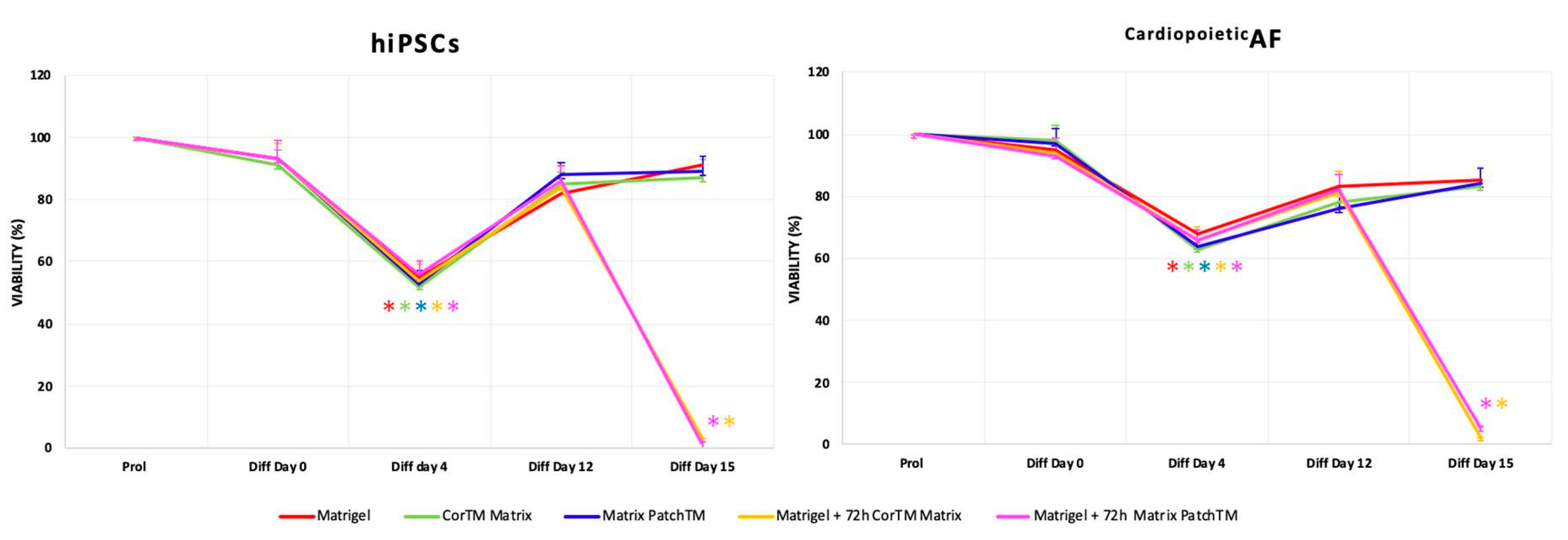Ijms 21 06317 g002 Ijms 21 06317 g002