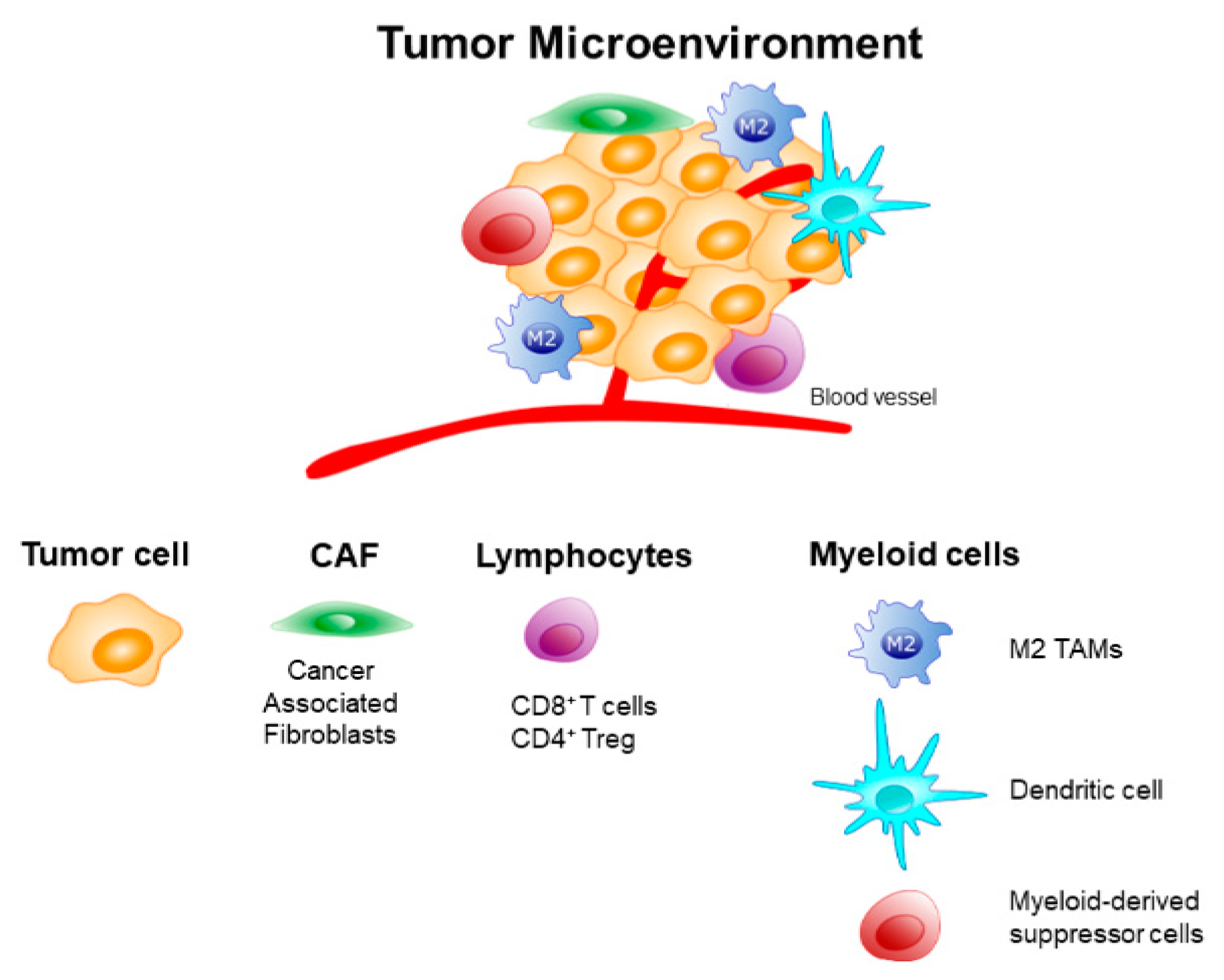 Ijms 21 06318 g002 Ijms 21 06318 g002