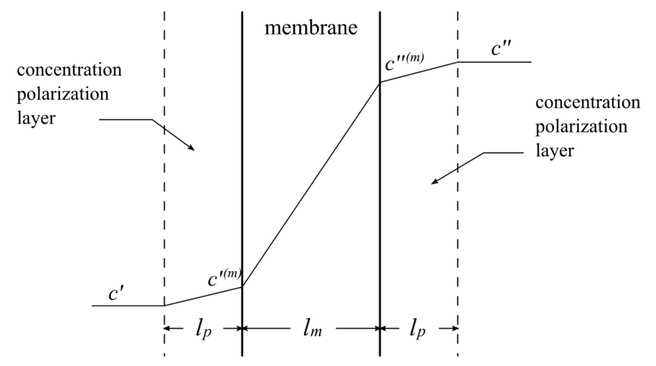 Ijms 21 06325 g001 Ijms 21 06325 g001