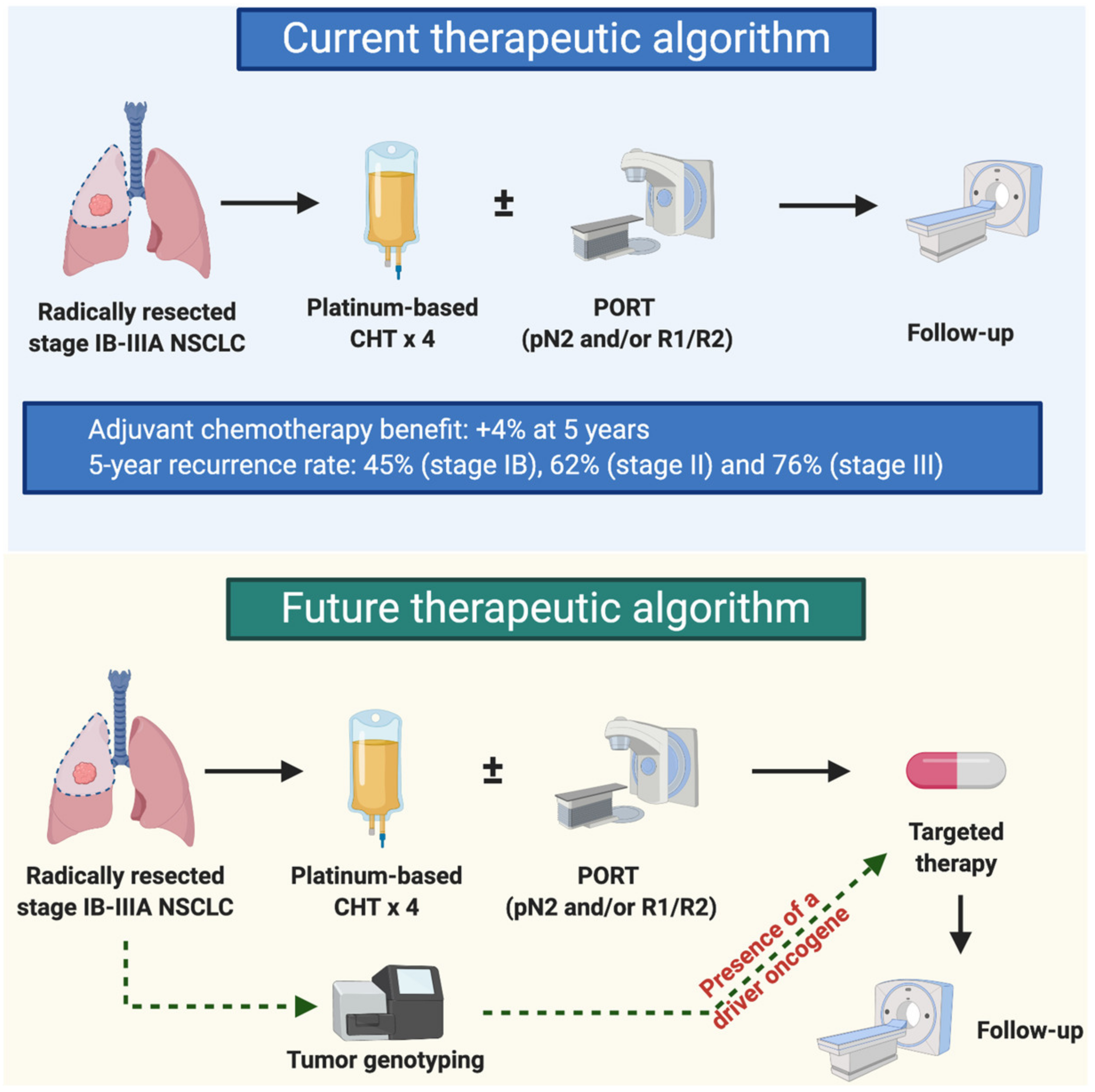 Ijms | Free Full-Text | Targeted Therapies In Early Stage Nsclc: Hype Or  Hope?