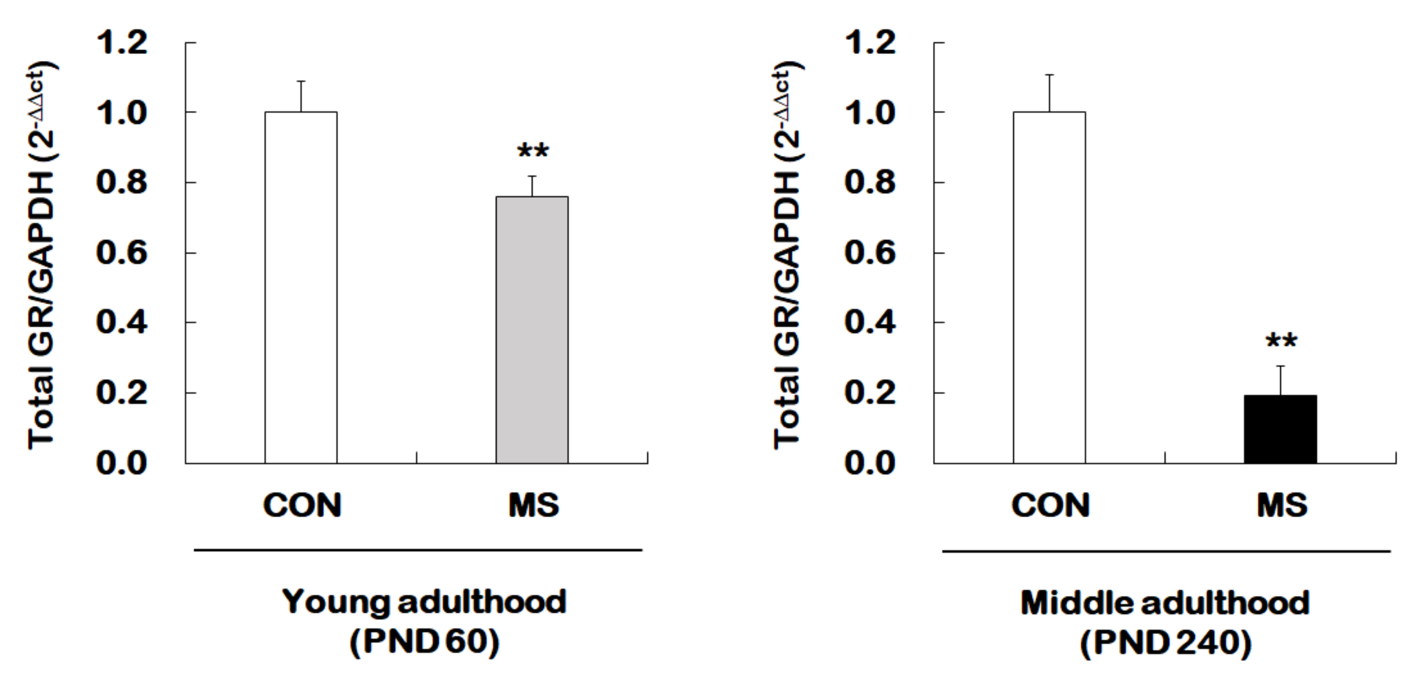 IJMS | Free Full-Text | Effects of Early Life Stress on Epigenetic