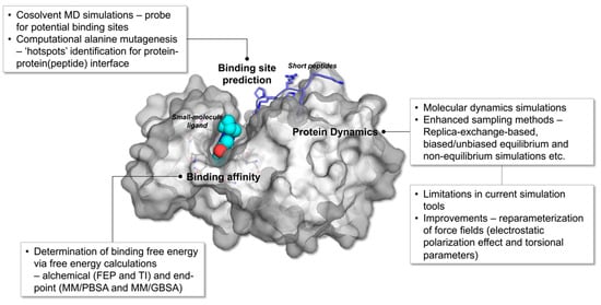Understanding Virus Structure and Dynamics through Molecular Simulations