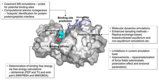 Understanding Virus Structure and Dynamics through Molecular Simulations