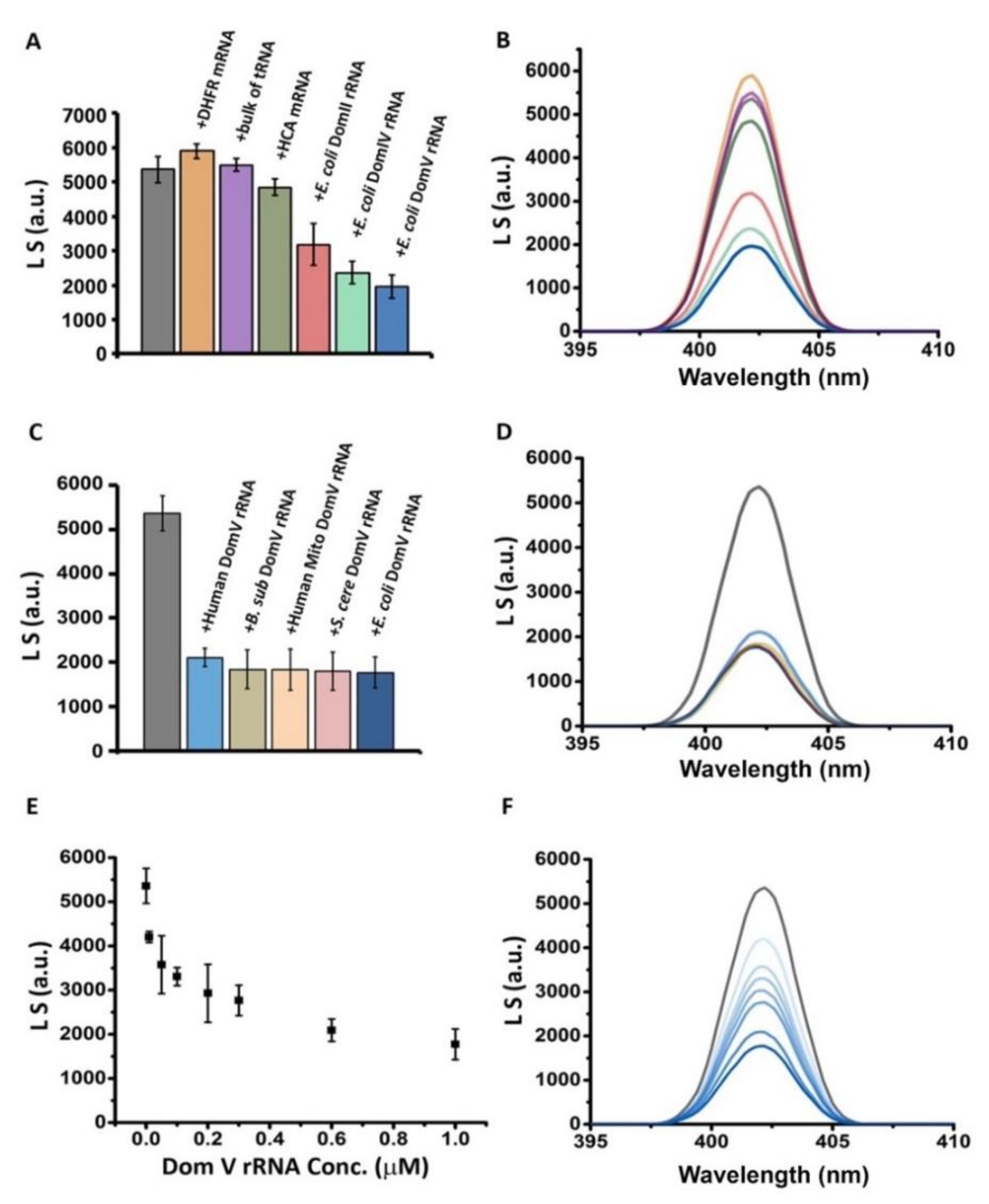 Ijms 21 06340 g001 Ijms 21 06340 g001